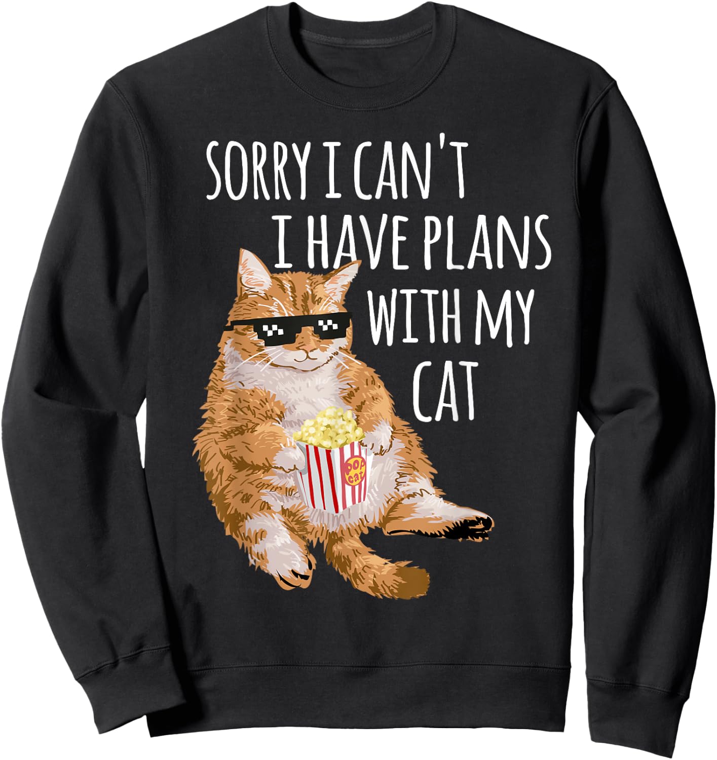Sorry I Can't I Have Plans With My Cat Funny Cat Lover Gift Sweatshirt - Sweatshirt | Black