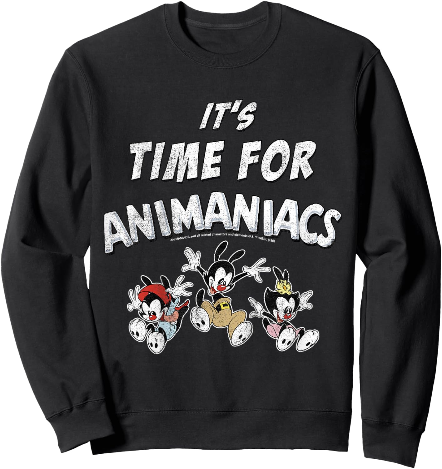 Kids Animaniacs It's Time For Animaniacs Group Shot Sweatshirt - Sweatshirt | Black