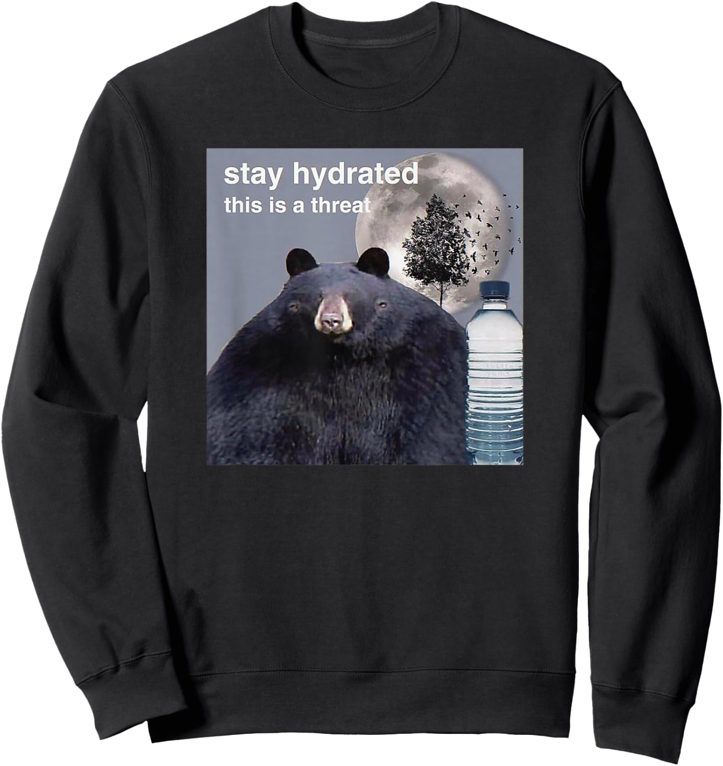 Stay Hydrated This Is A Threat Meme Sweatshirt - Sweatshirt | Black