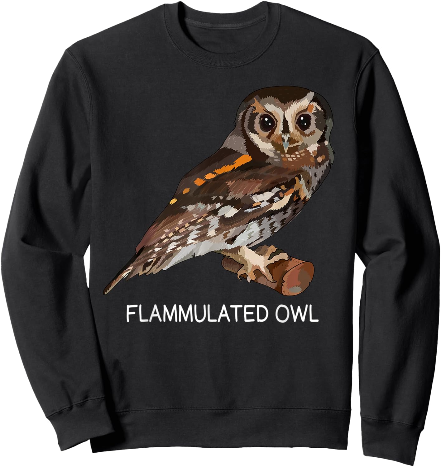 Flammulated Owl Bird Lover Sweatshirt - Sweatshirt | Black