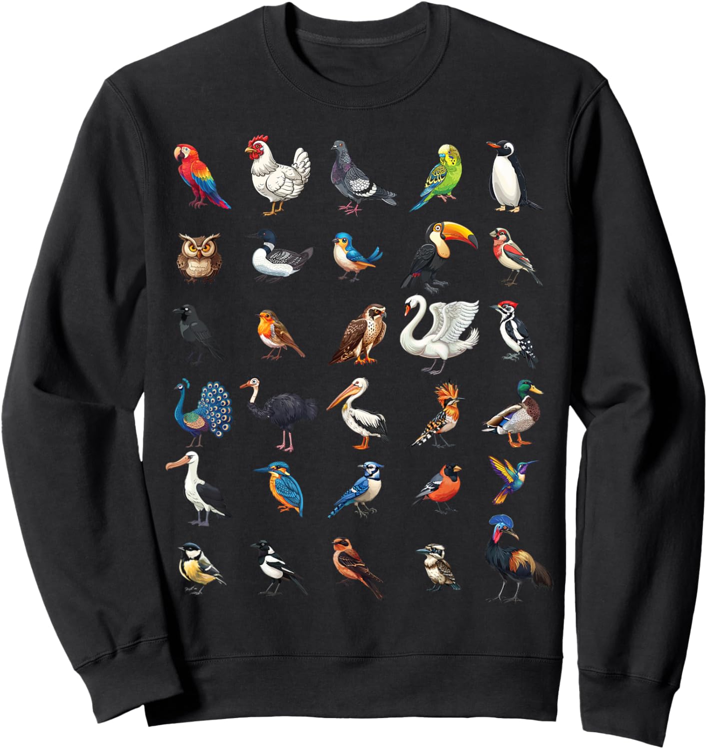 Types of Birds Educational Boys Girls Kids Sweatshirt - Sweatshirt | Black