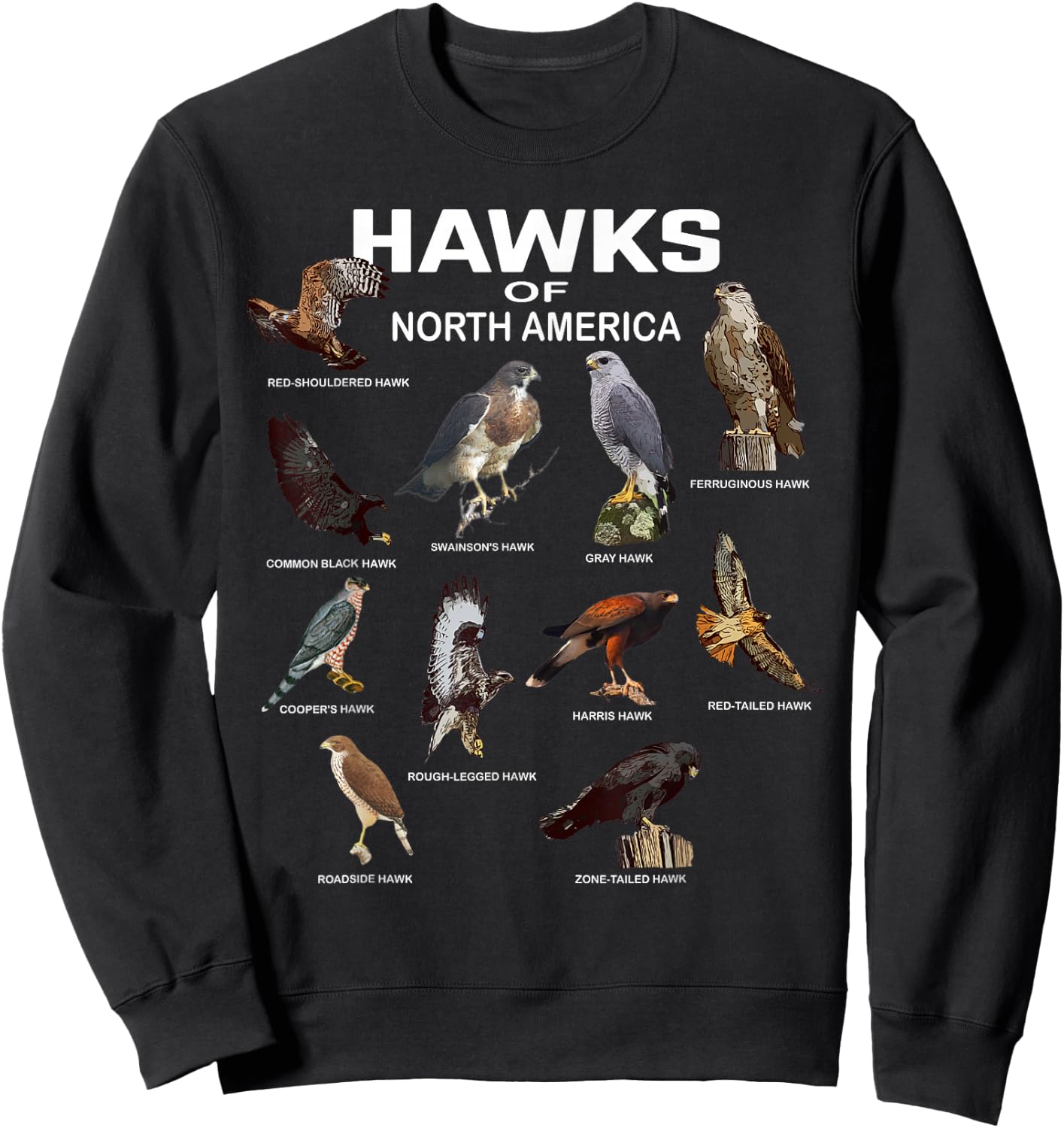 Hawks North America Red-Tailed Roadside Gray Hawk Sweatshirt - Sweatshirt | Black