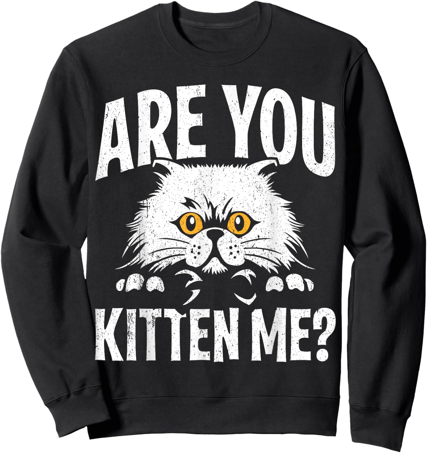 Funny Cat Design Are You Kitten Me Cats Wordplay Sweatshirt - Sweatshirt | Black