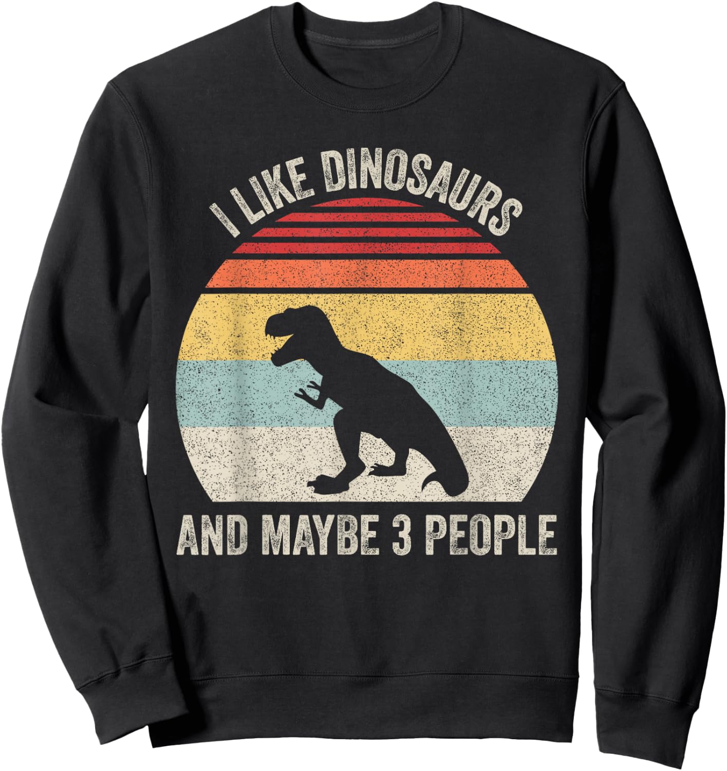 Vintage Retro I Like Dinosaurs & Maybe 3 People Funny T-Rex Sweatshirt - Sweatshirt | Black