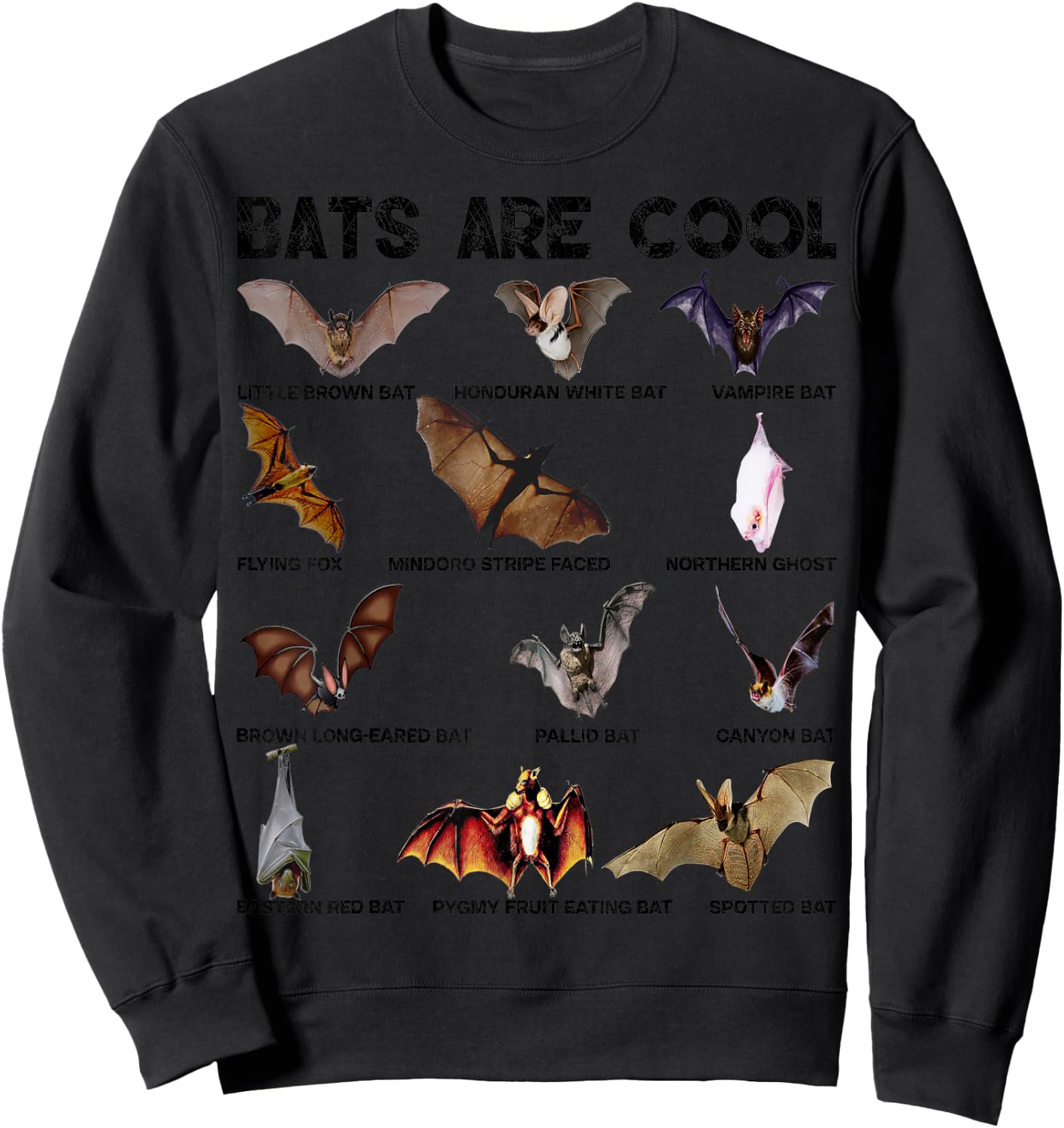 Bats are cool Great Lovely Bat kinds shirts women Sweatshirt - Sweatshirt | Black