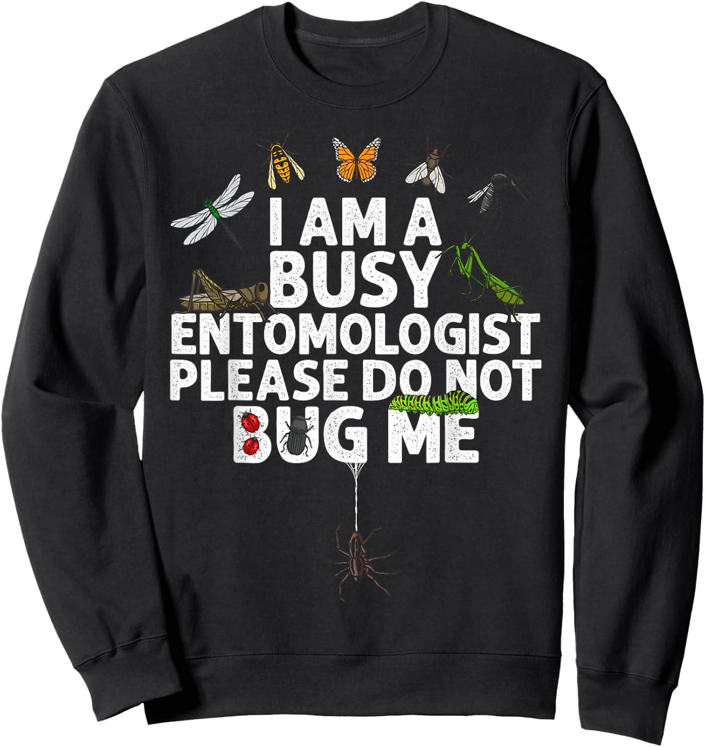 Funny Entomology Gift Women Boys Girls Bug Lovers Sweatshirt - Sweatshirt | Black