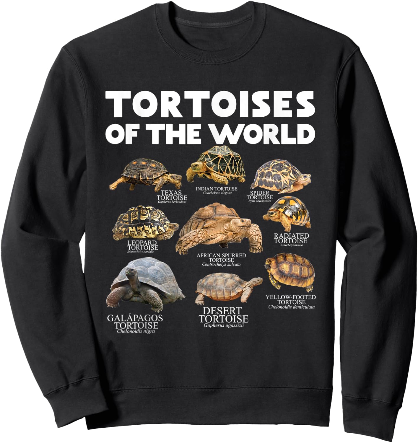Tortoises Of The World Turtles Lover Save The Tortoises Sweatshirt - Sweatshirt | Black