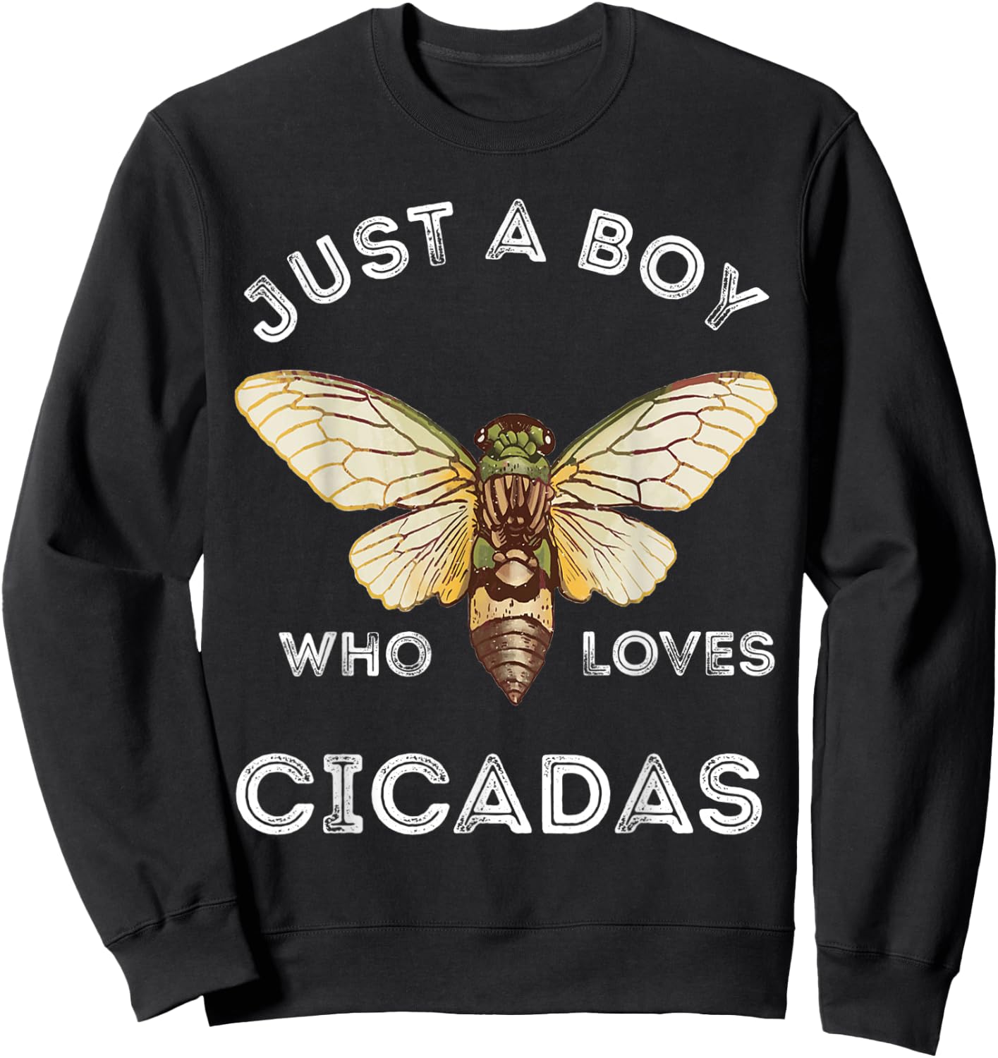 Just A Boy Who Loves Cicadas Insect Magicicada Bug Brood Sweatshirt - Sweatshirt | Black
