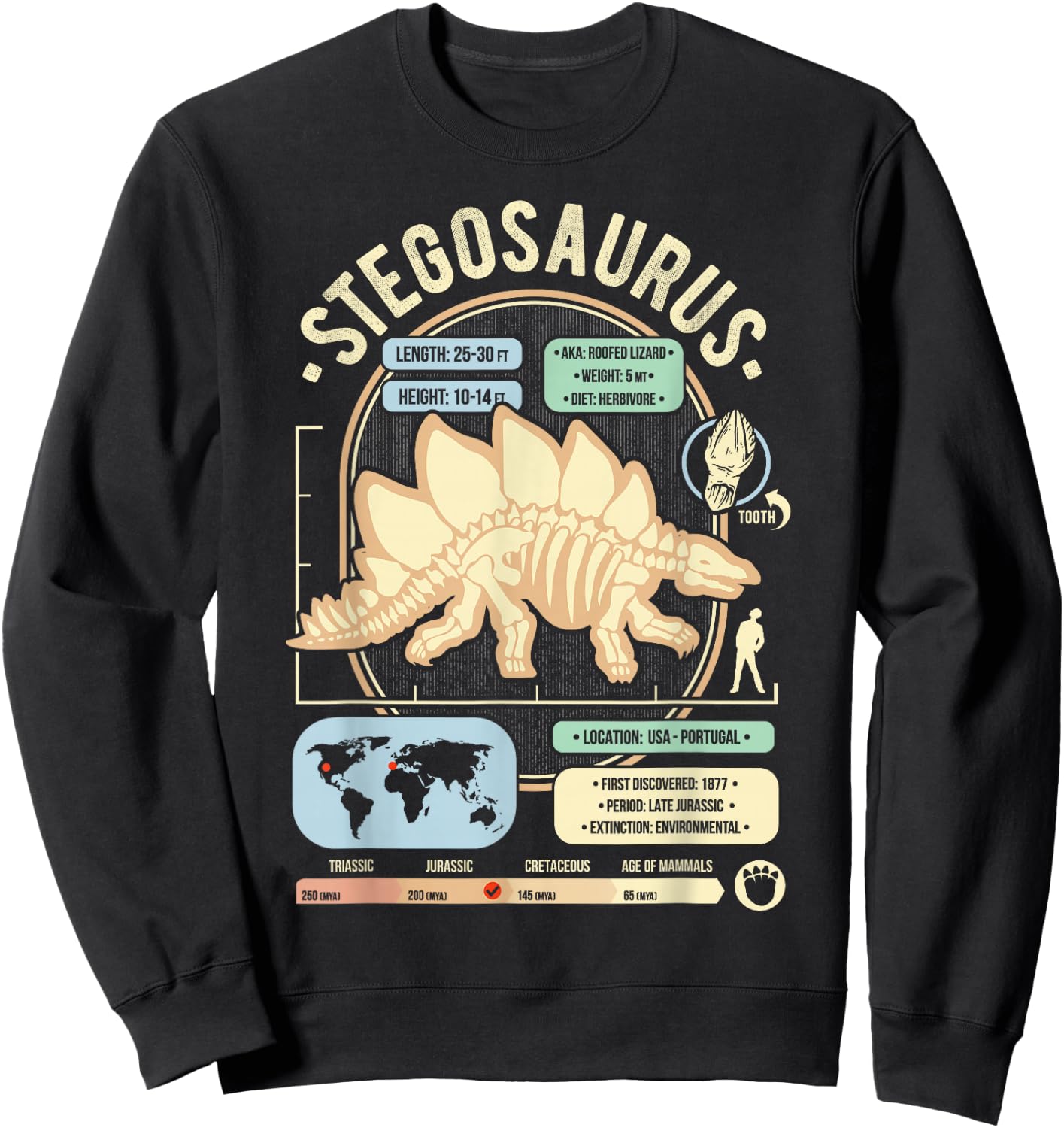 Dinosaur Facts - Stegosaurus Science & Anatomy Gift Sweatshirt - Sweatshirt | Black