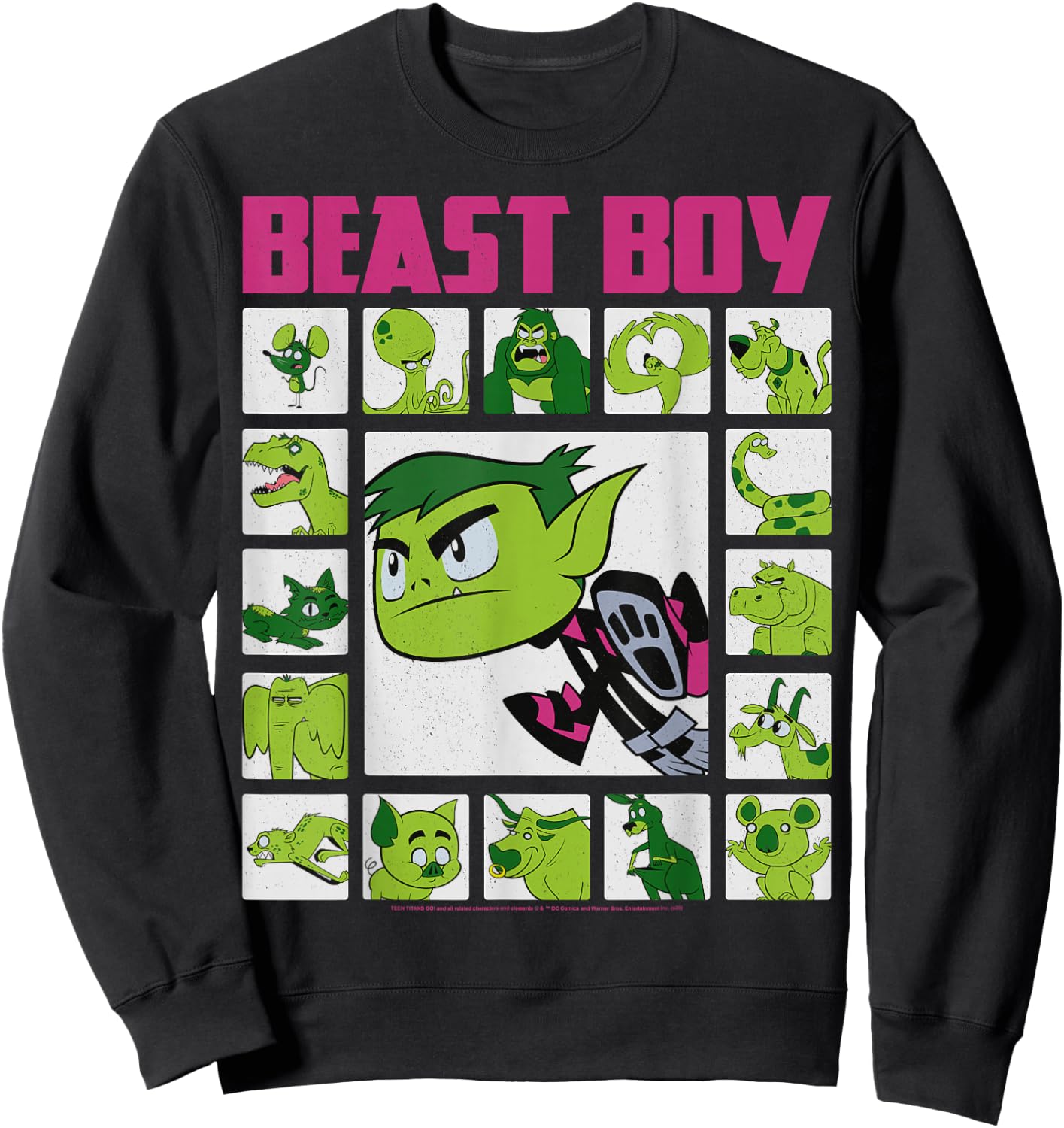 DC Comics Teen Titans Go! Beast Boy Box Up Sweatshirt - Sweatshirt | Black