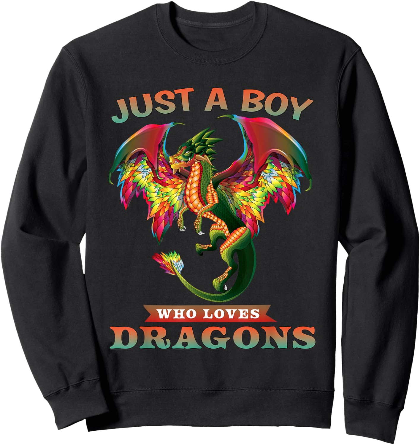 Just A Boy Who Loves Dragons Teen Boy Gifts Sweatshirt - Sweatshirt | Black