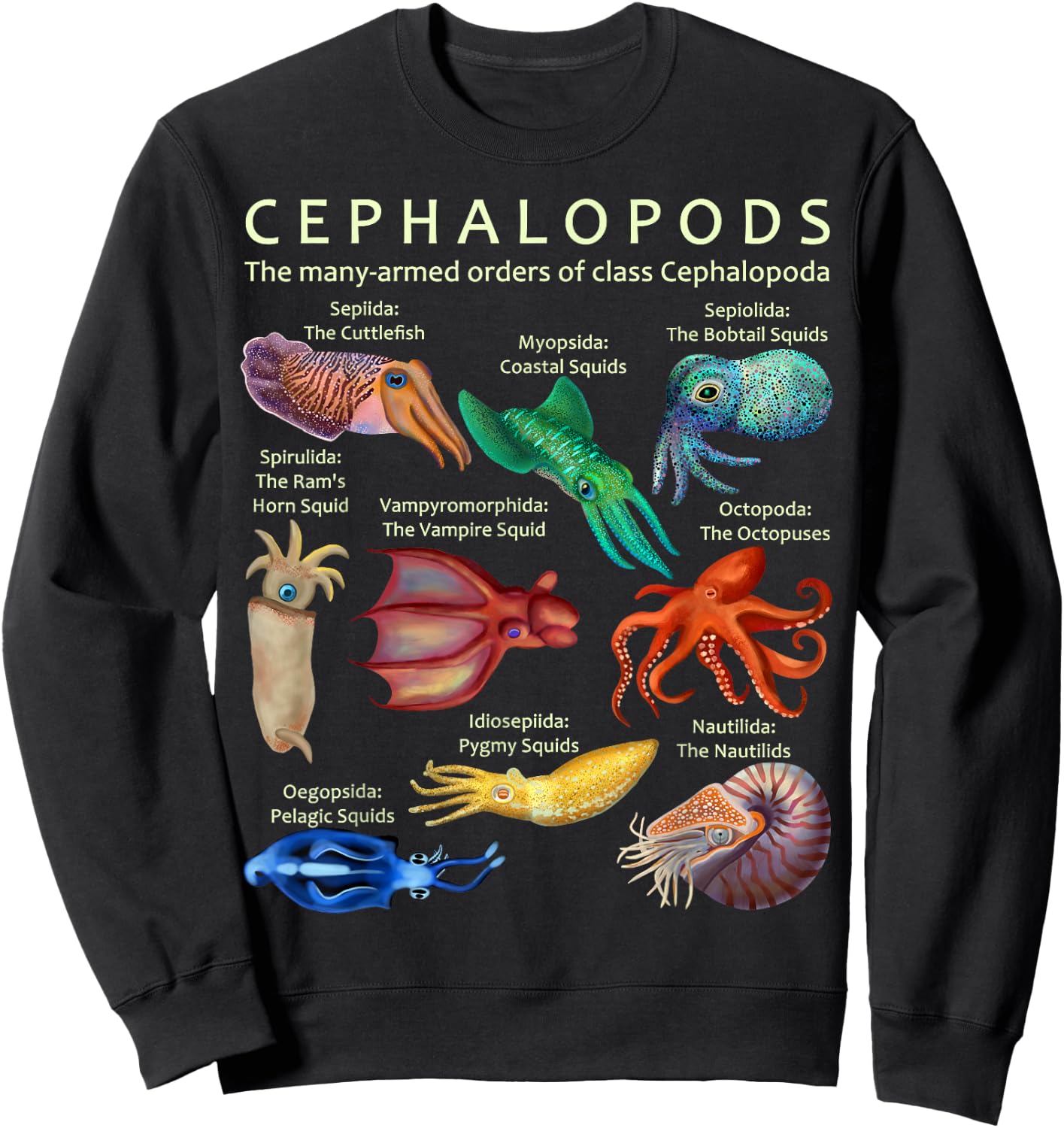 The Cephalopod Octopus Squid Cuttlefish and Nautilus Sweatshirt - Sweatshirt | Black