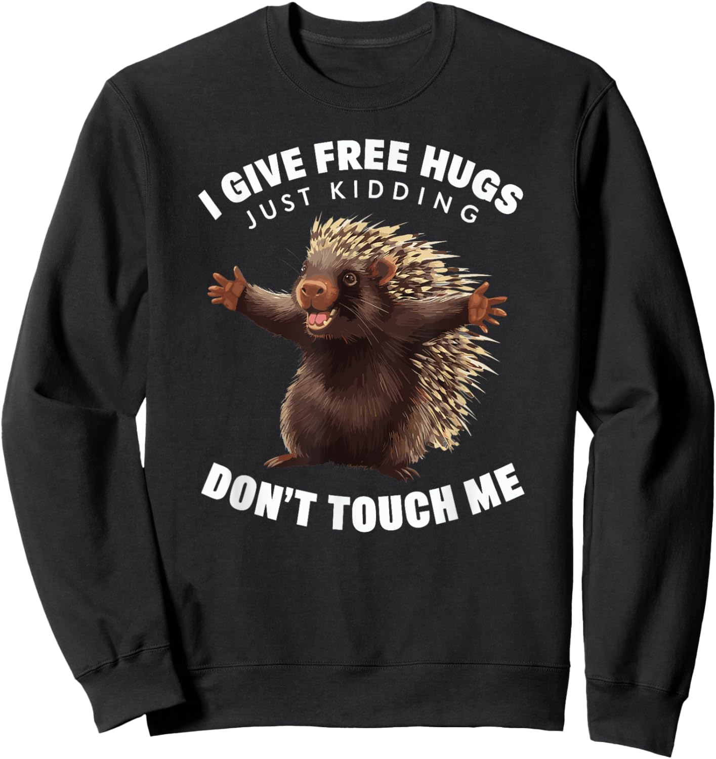 I Give Free Hugs Just Kidding Don't Touch Me Porcupine Sweatshirt - Sweatshirt | Black