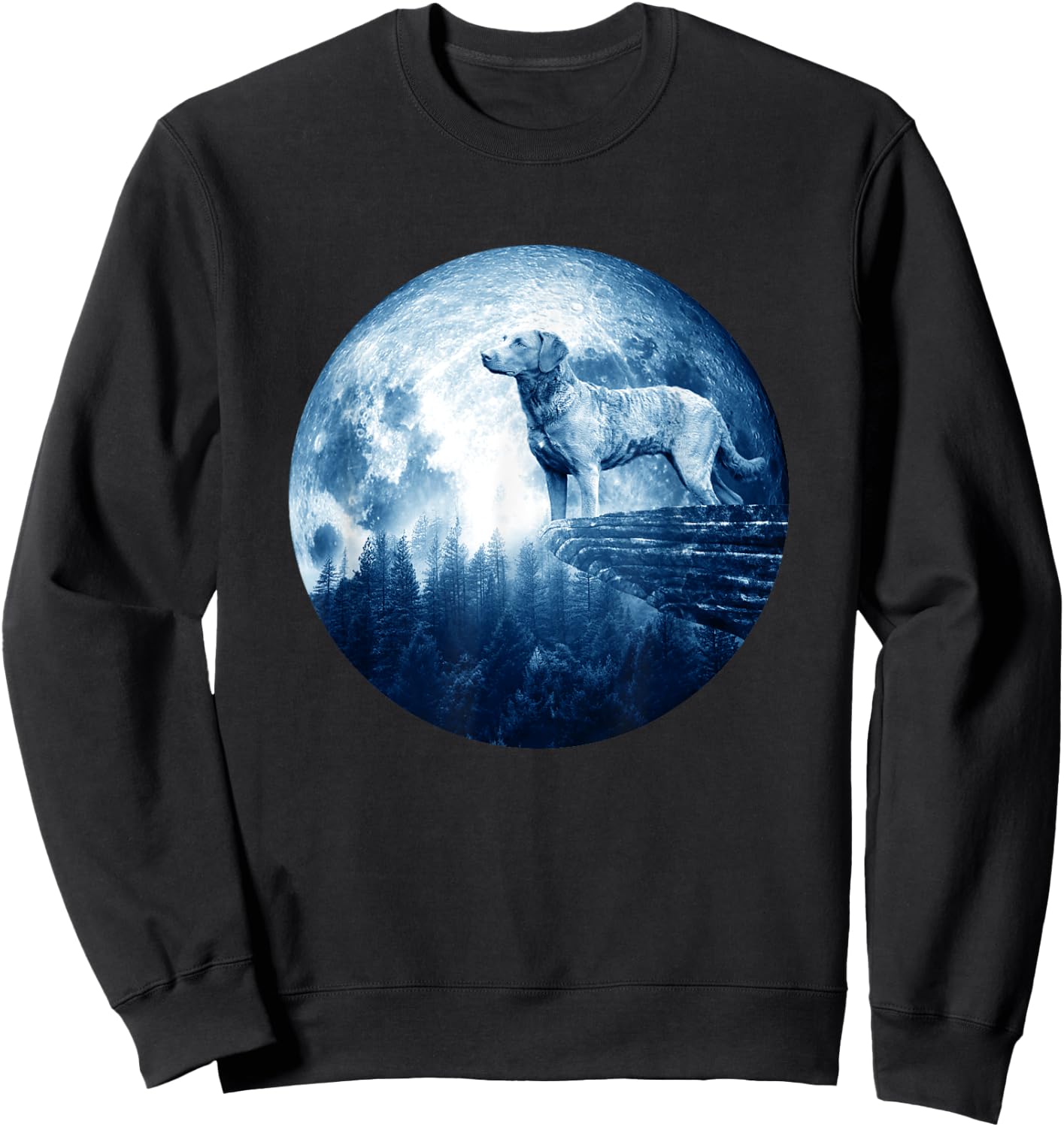 Chesapeake Bay Retriever Dog Moon Dog Mom Dad Dog Lovers Sweatshirt - Sweatshirt | Black
