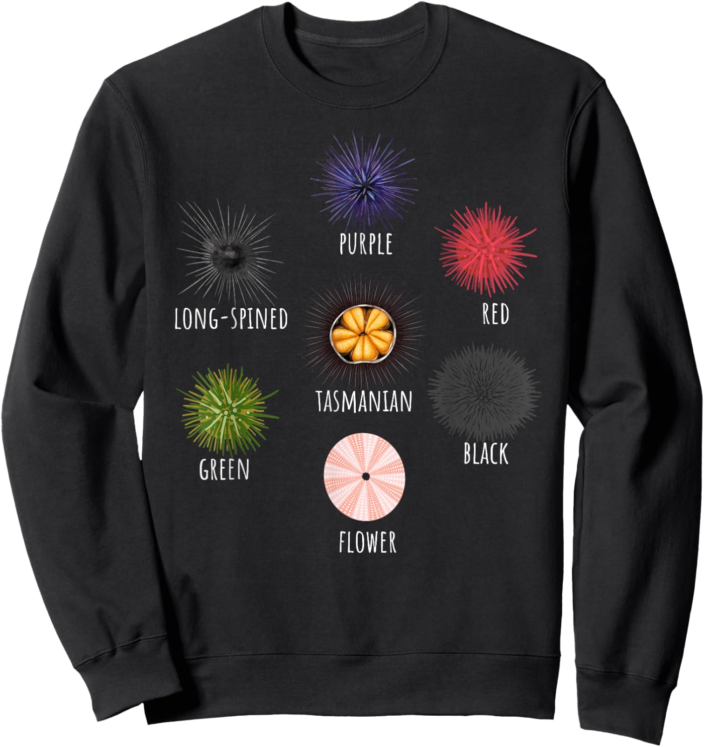 Type Of Sea Urchin Variants Sea Shell Beach Ocean Lovers Sweatshirt - Sweatshirt | Black