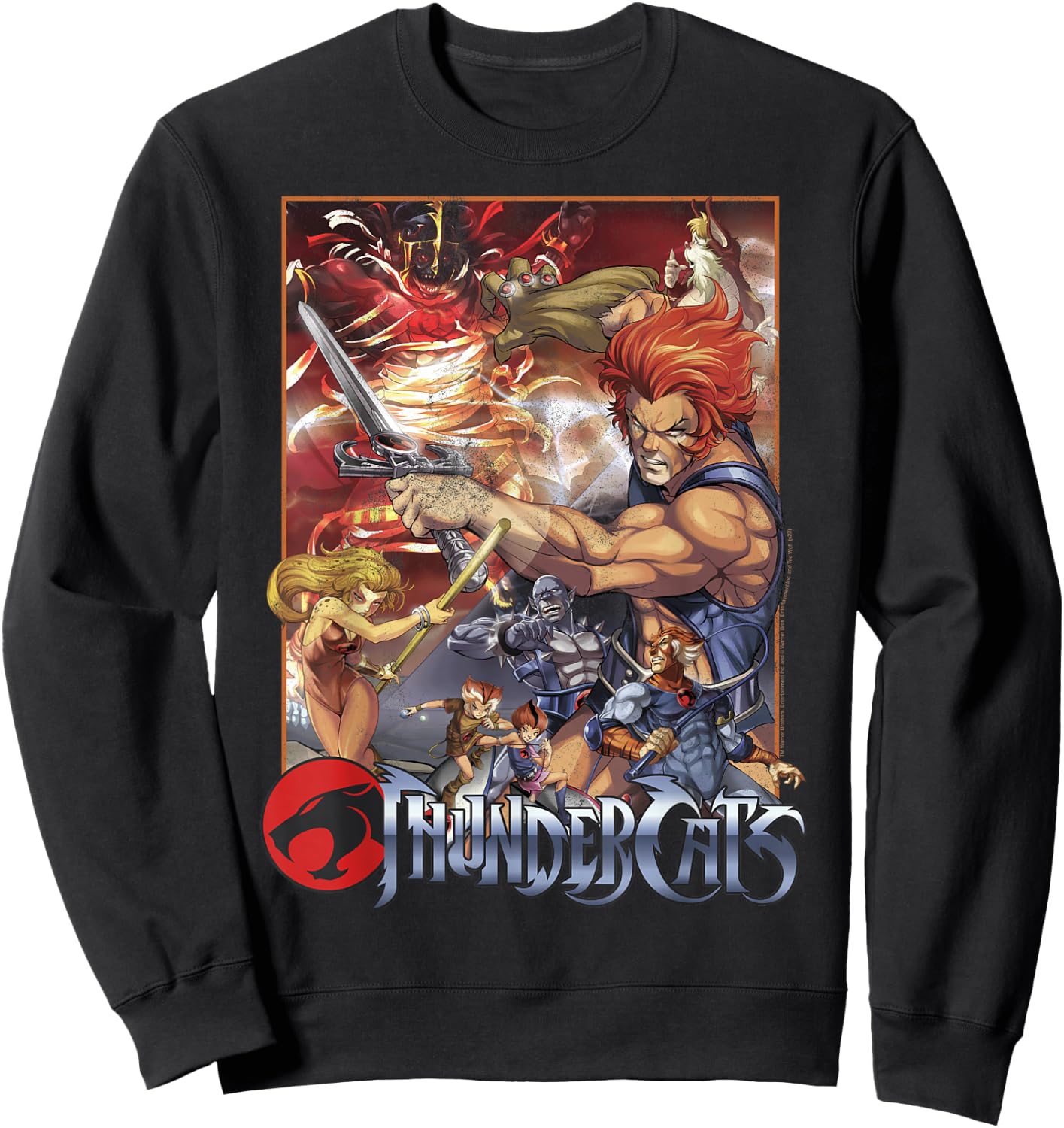 ThunderCats Adult Vintage , Black, Short Sleeve, Small Sweatshirt - Sweatshirt | Black