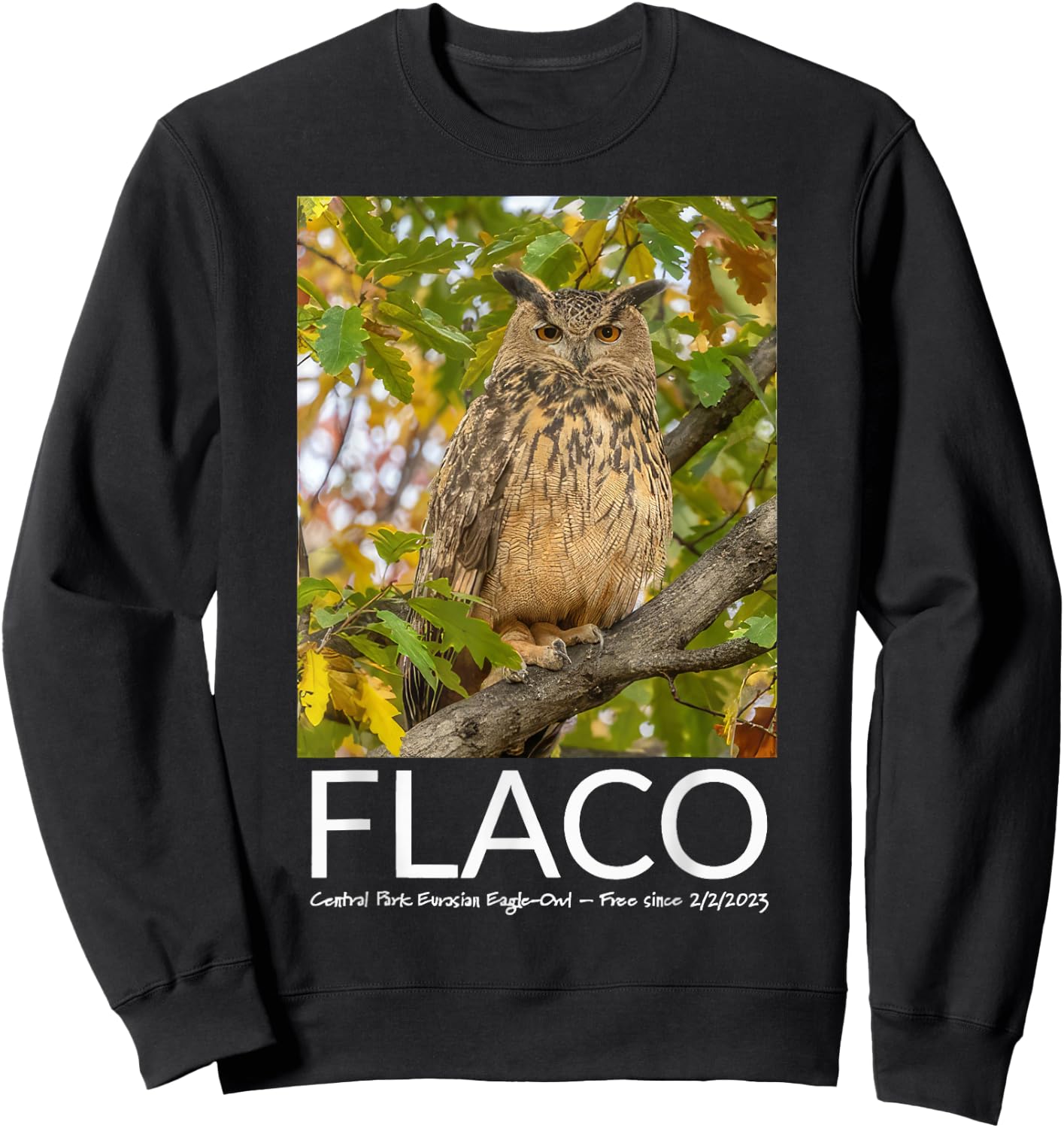 Flaco the Owl Escaped Owl Sweatshirt - Sweatshirt | Black