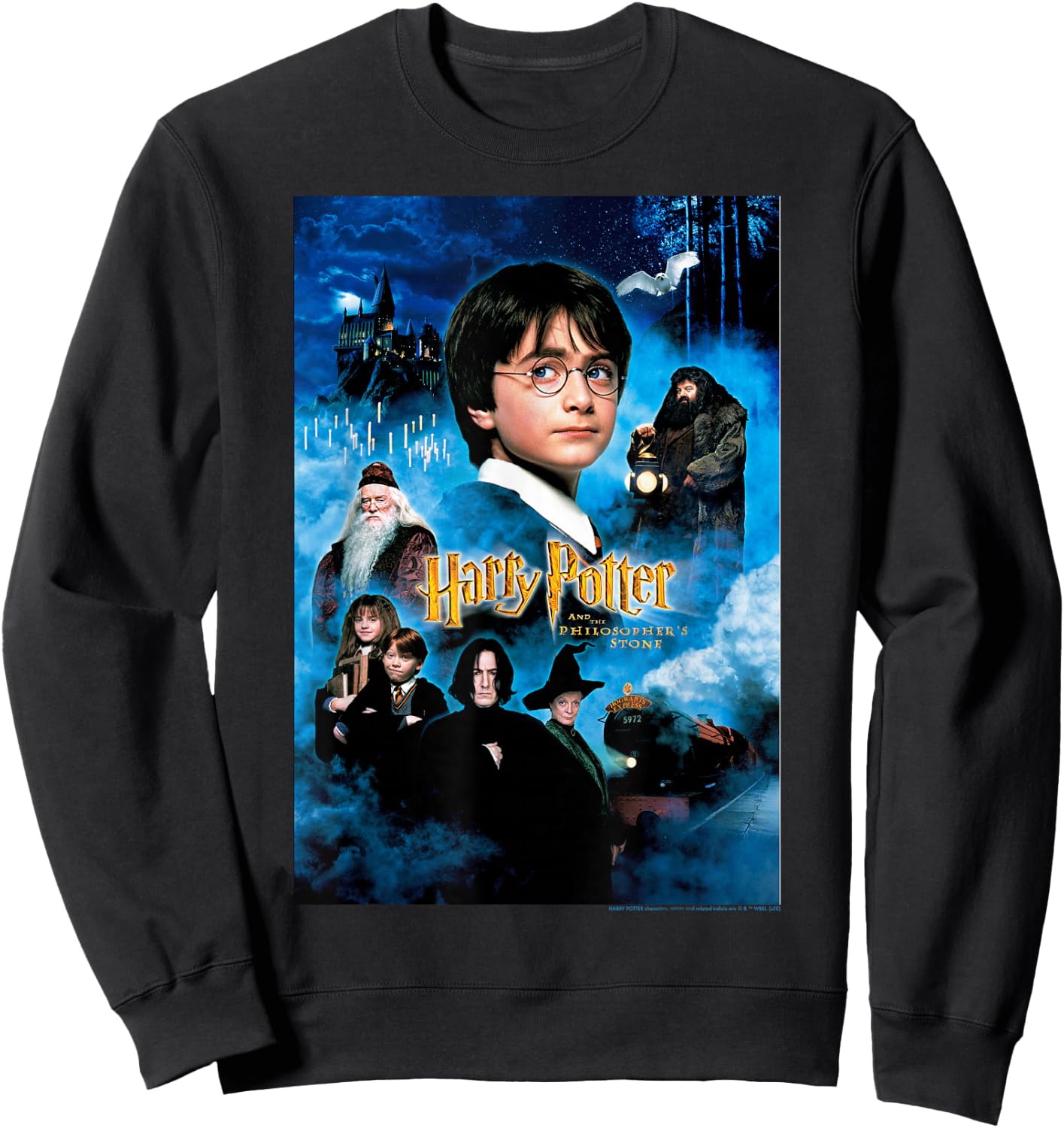 Harry Potter and The Philosopher's Stone Poster Sweatshirt - Sweatshirt | Black