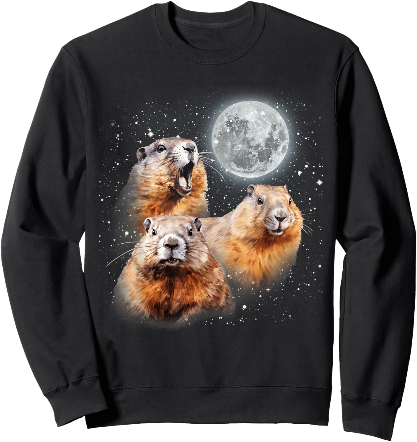 Three Groundhog Moon 3 Groundhog Head Groundhog Day Sweatshirt - Sweatshirt | Black