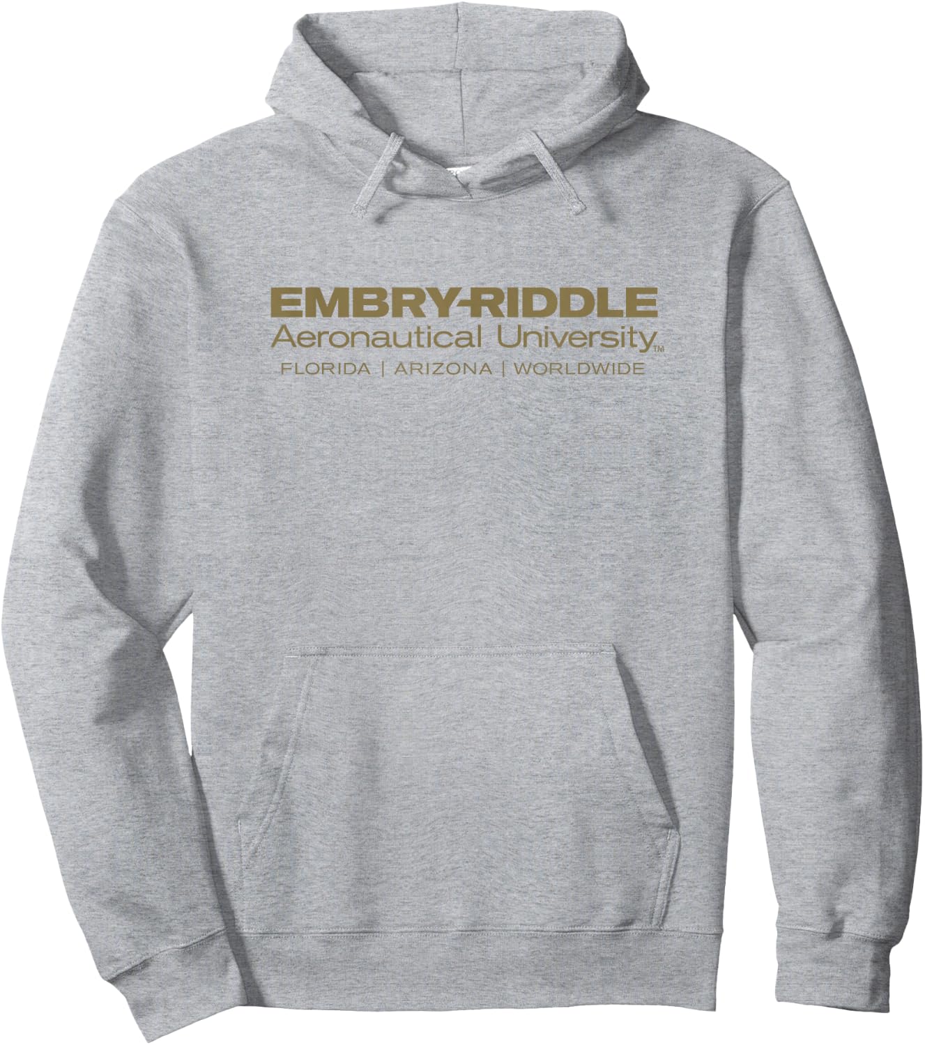 Embry Riddle Eagles | Official NCAA Worldwide | PPERAUW03 Hoodie - Hoodie | Ash