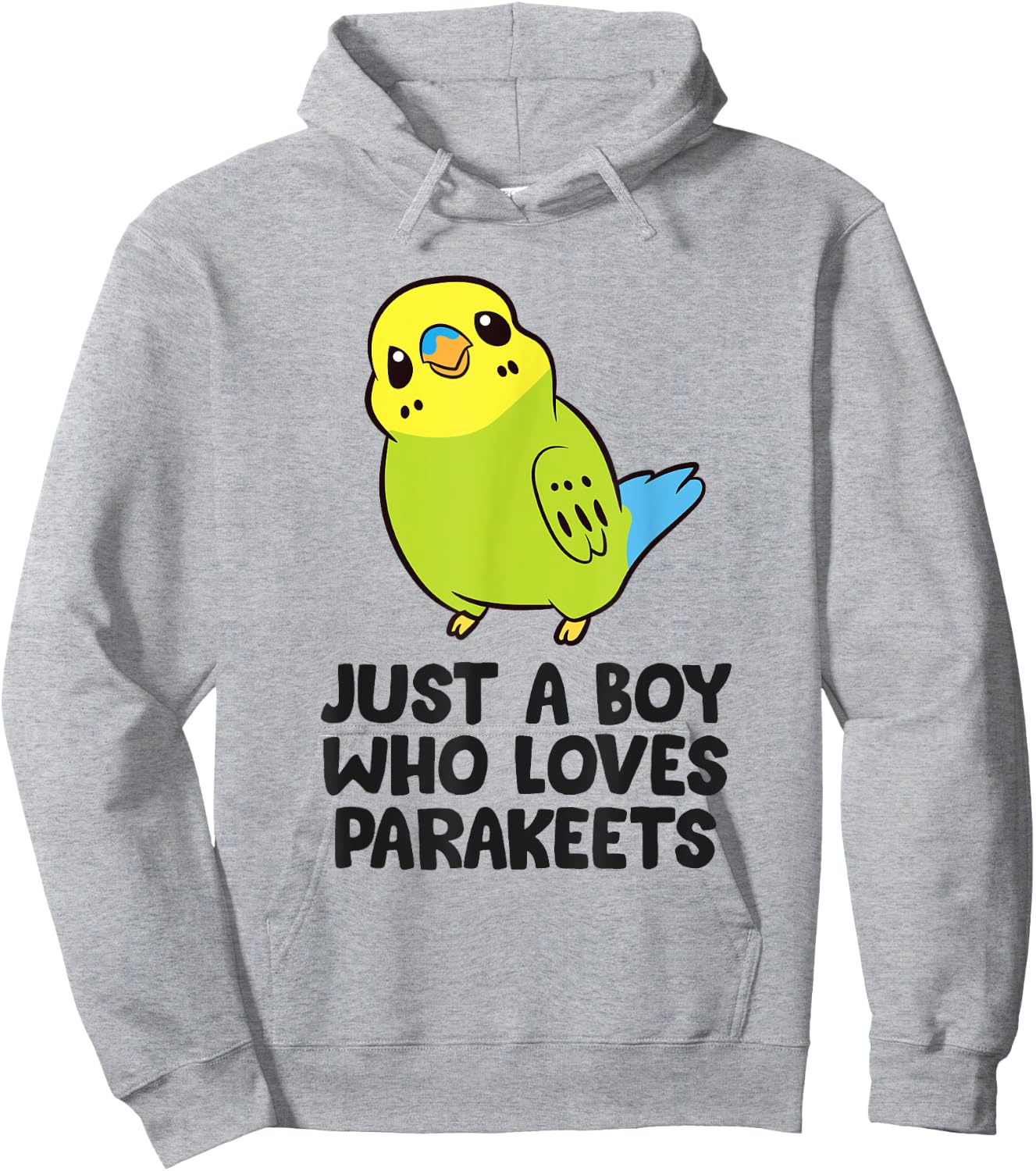 Parakeet Boy Just a Boy Who Loves Parakeets Hoodie - Hoodie | Ash