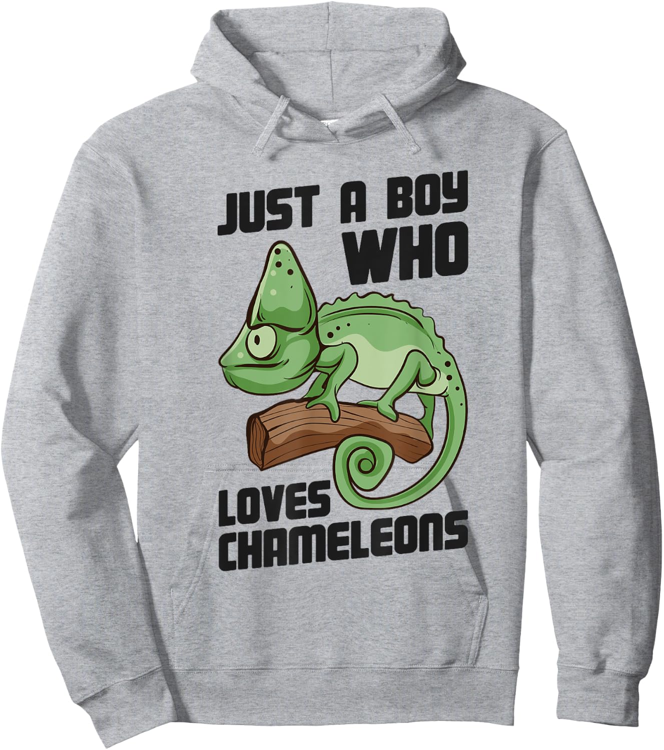 Cute Lizard Chameleon Just a Boy Who Loves Chameleons Hoodie - Hoodie | Ash