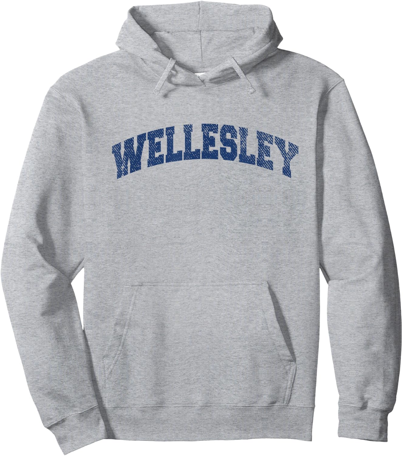 Wellesley Massachusetts Varsity Style Vintage Grey Hoodie - Hoodie | Ash