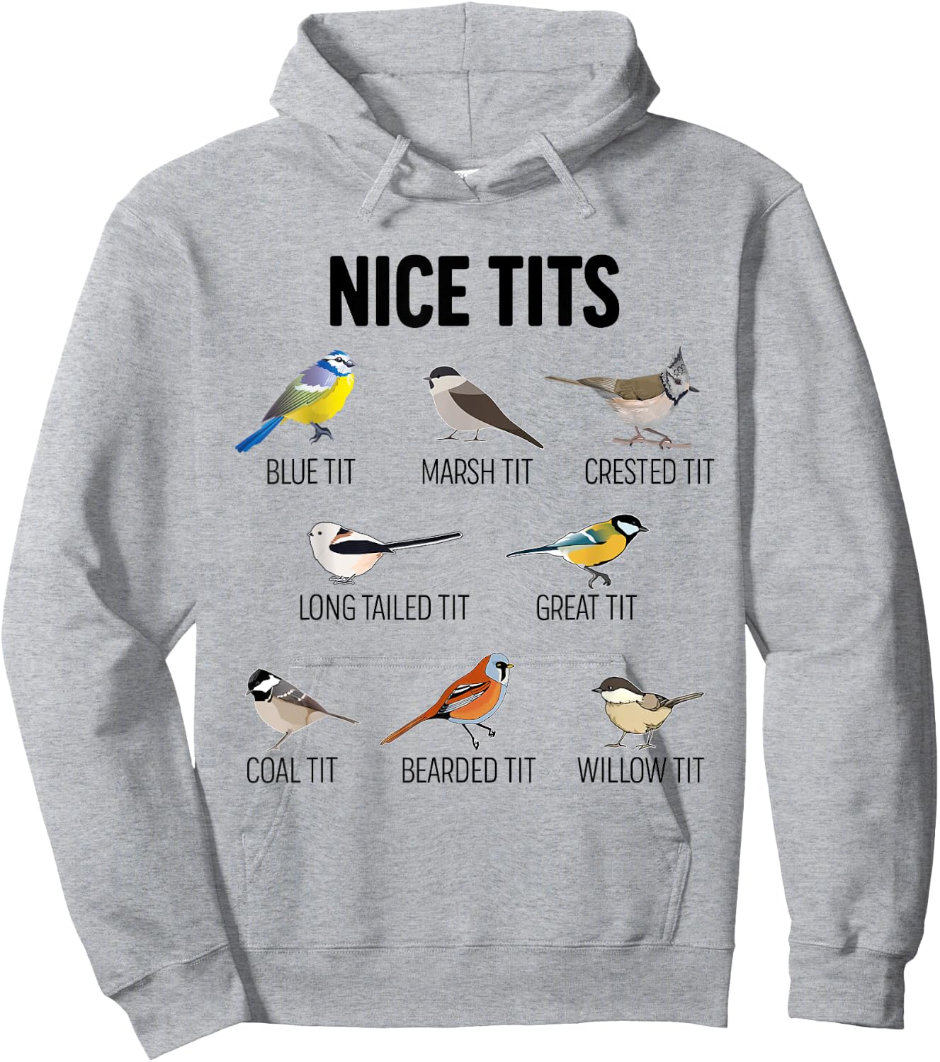 Nice Tits Pun Joke Funny Bird Lover Enthusiast Birdwatcher Hoodie - Hoodie | Ash