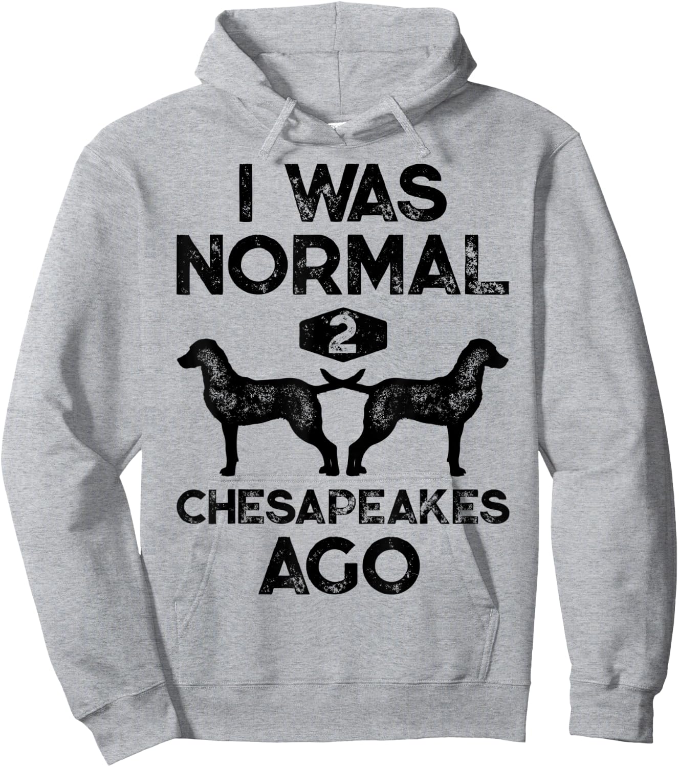 I Was Normal 2 Chesapeakes Ago Chesapeake Bay Retriever Dog Hoodie - Hoodie | Ash