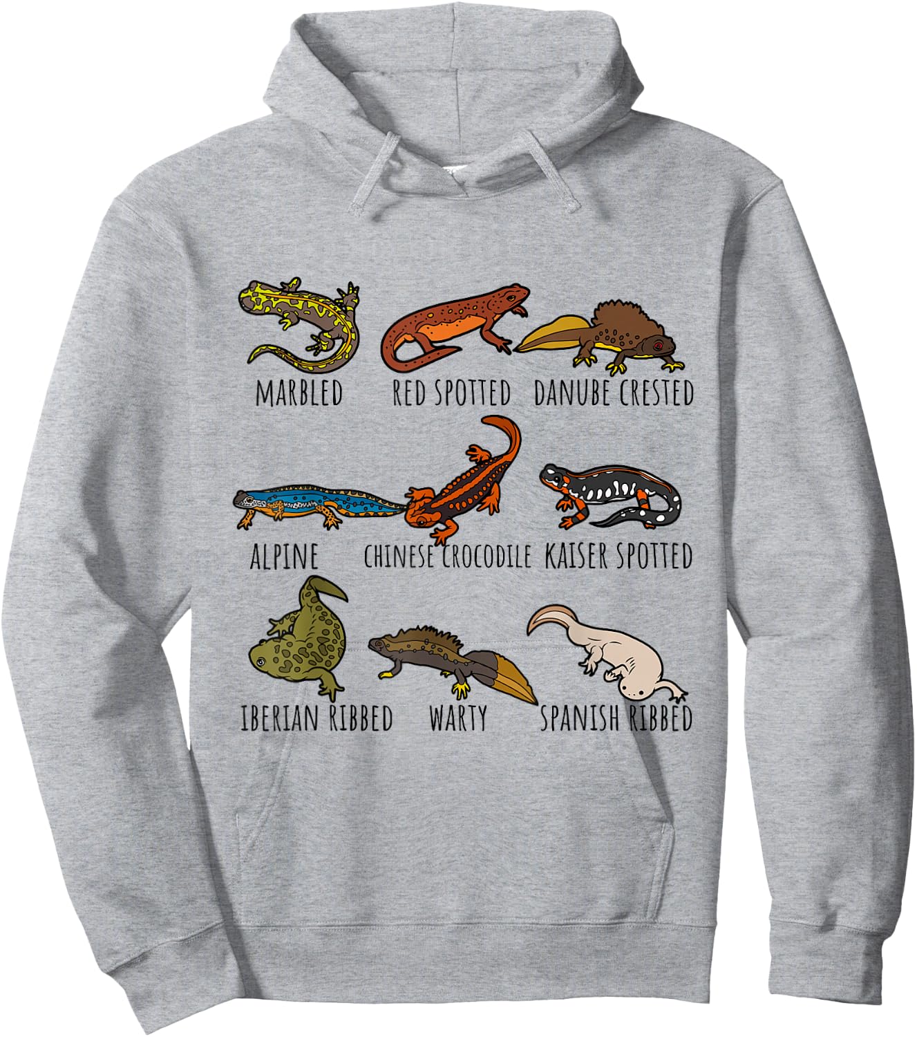 Cute Types Of Newts Salamander Species Chart For Newt Lovers Hoodie - Hoodie | Ash