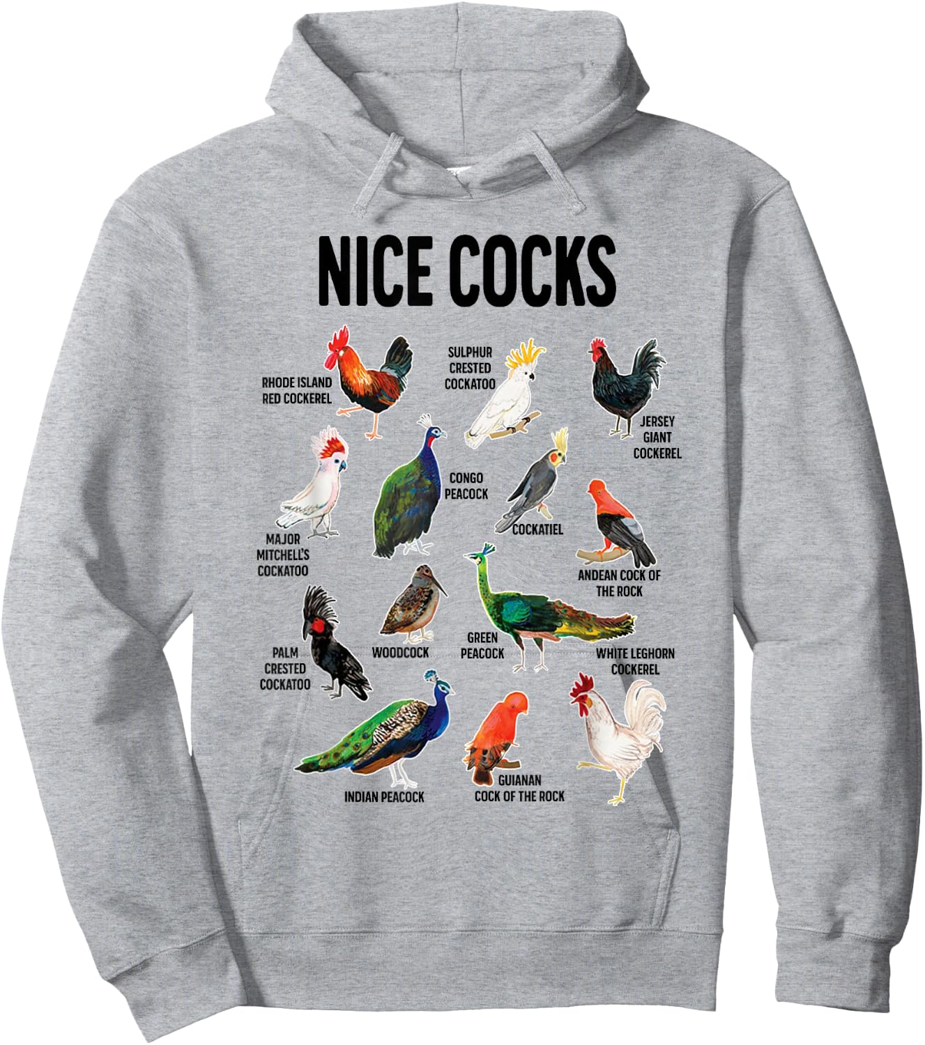 Nice Cocks Pun Adult Joke Funny Bird Lover Birdwatcher Hoodie - Hoodie | Ash