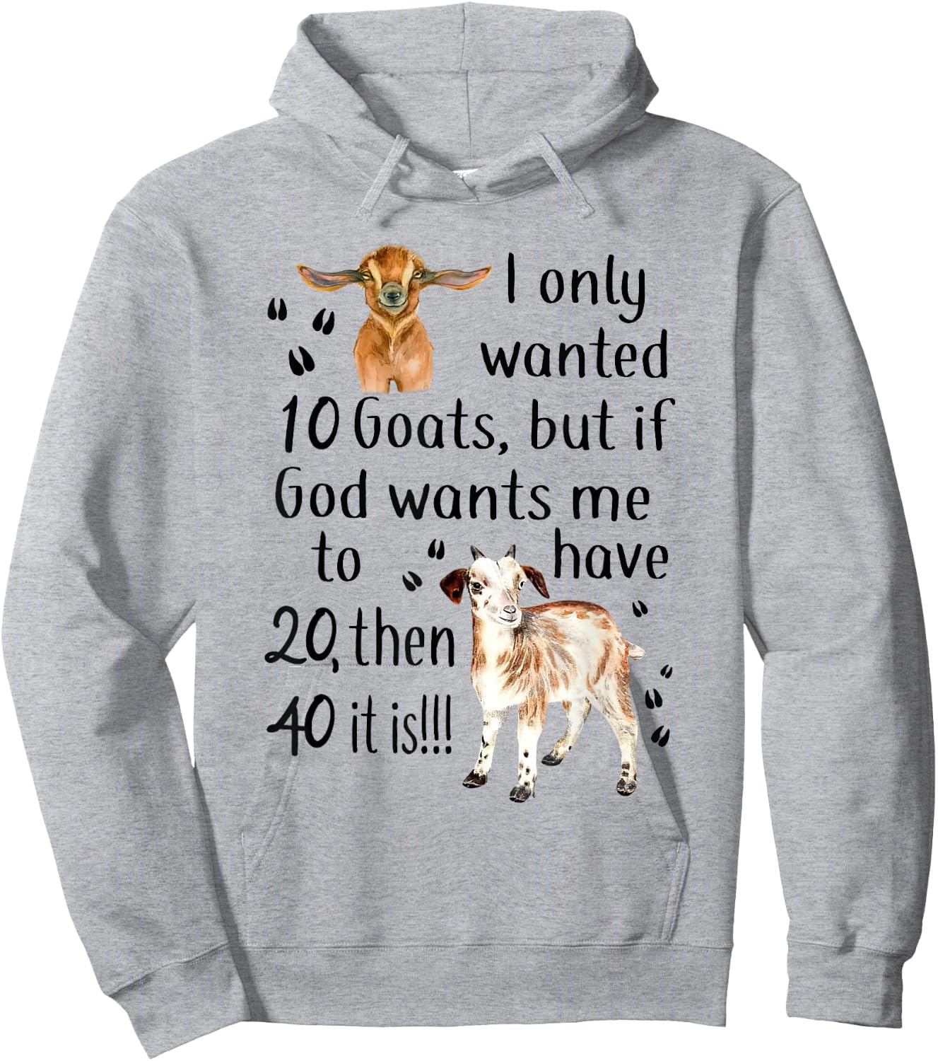 I Only Wanted 10 Goats Funny Goat Lover Farmer Hoodie - Hoodie | Ash