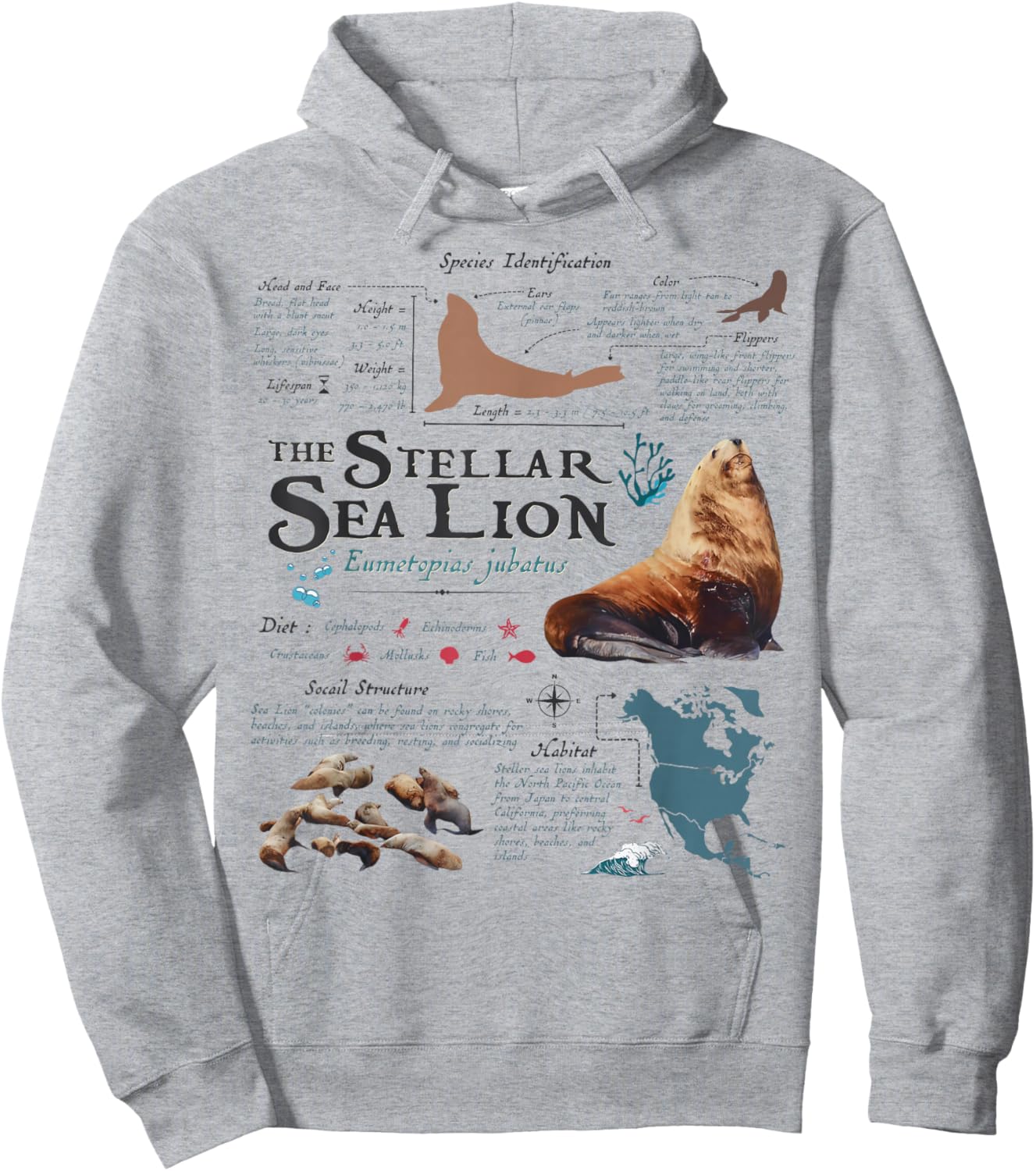 Vintage Stellar Sea Lion Anatomy Retro 90s Marine Biology Hoodie - Hoodie | Ash