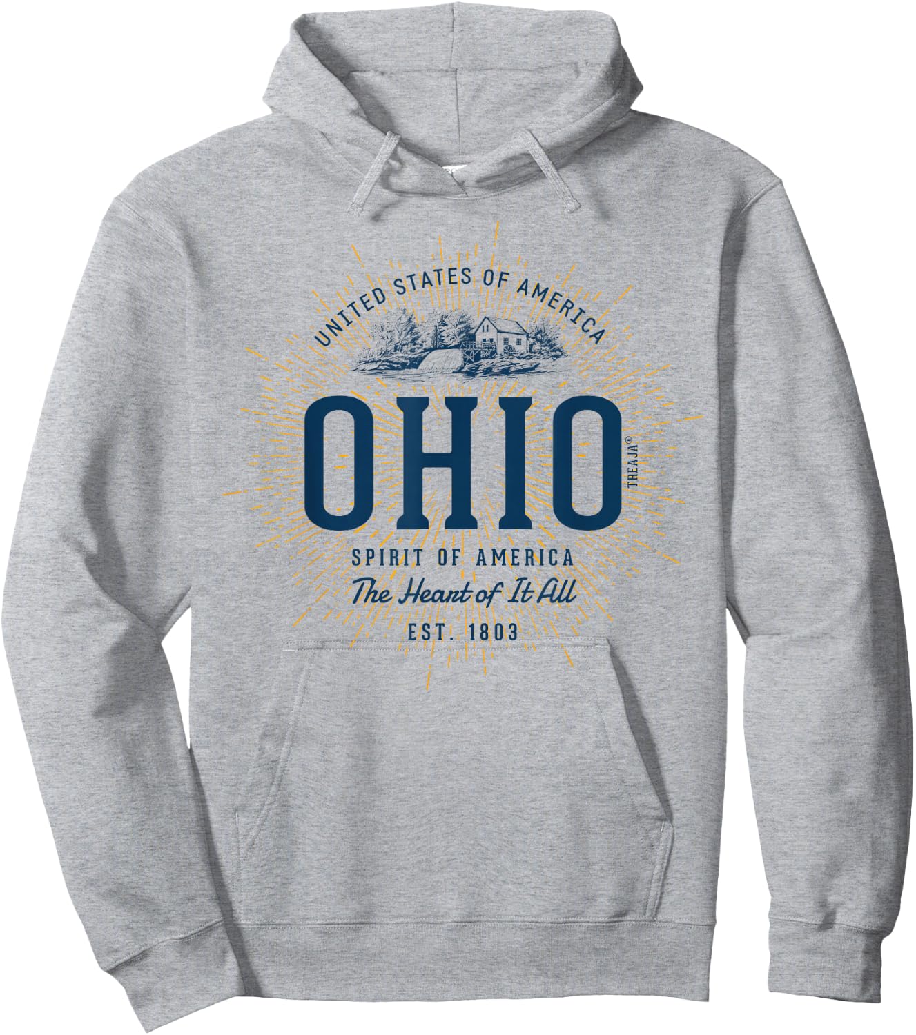 Vintage Styled State of Ohio Retro Hoodie - Hoodie | Ash