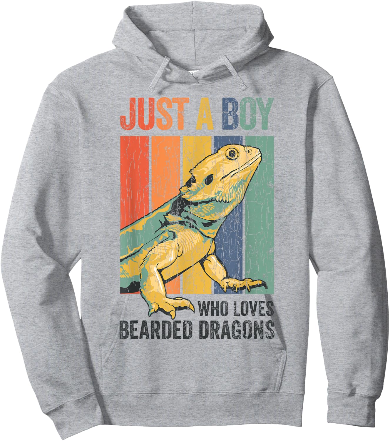 Just A Boy Who Loves Bearded Dragon Shirt Men Boys Hoodie - Hoodie | Ash