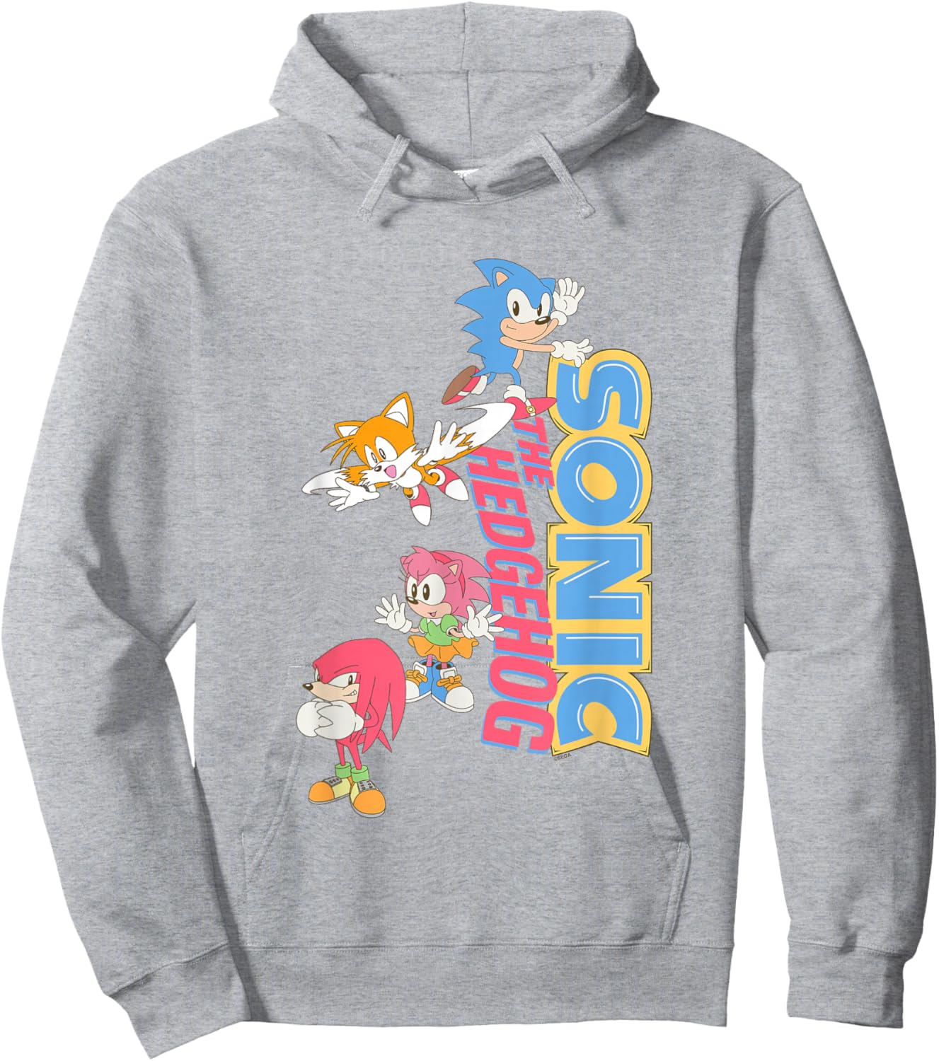 Sonic The Hedgehog Sonic & Friends Cute Retro Group Shot Hoodie - Hoodie | Ash