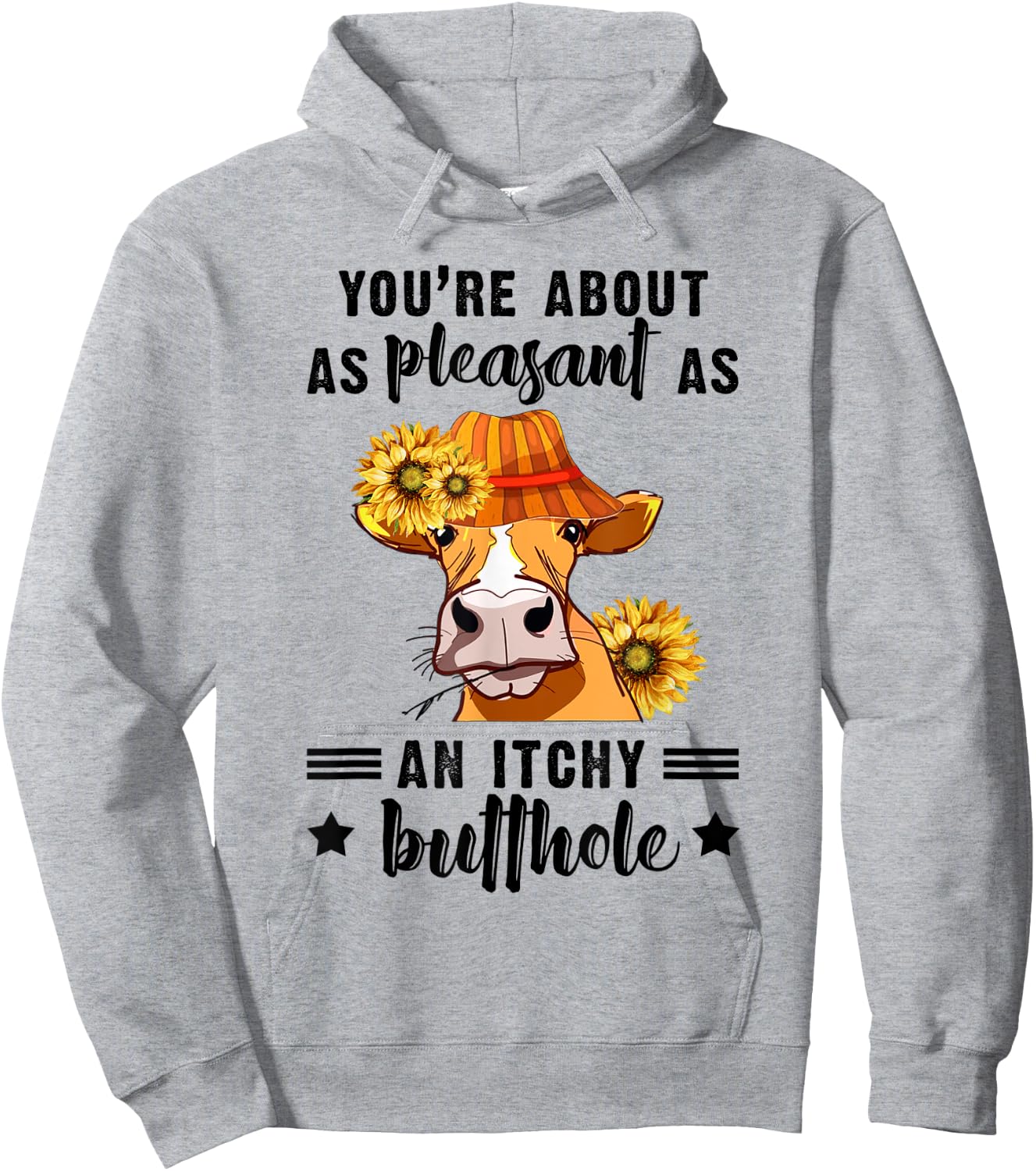 You're About As Pleasant As An Itchy Butthole Hoodie - Hoodie | Ash