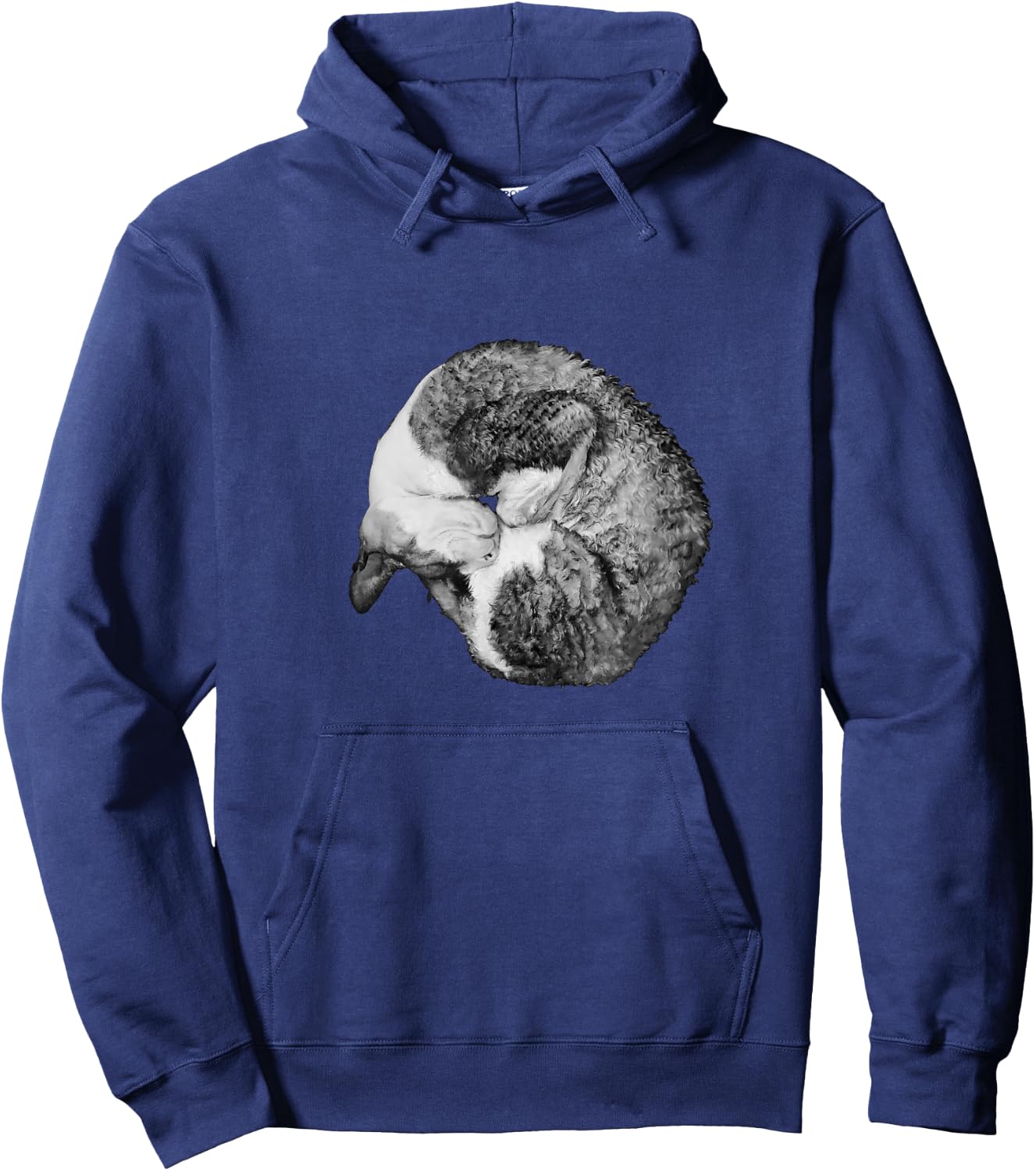 Adorable Wrap Around Cat Cornish Rex Men Women Kids Hoodie - Hoodie | Navy
