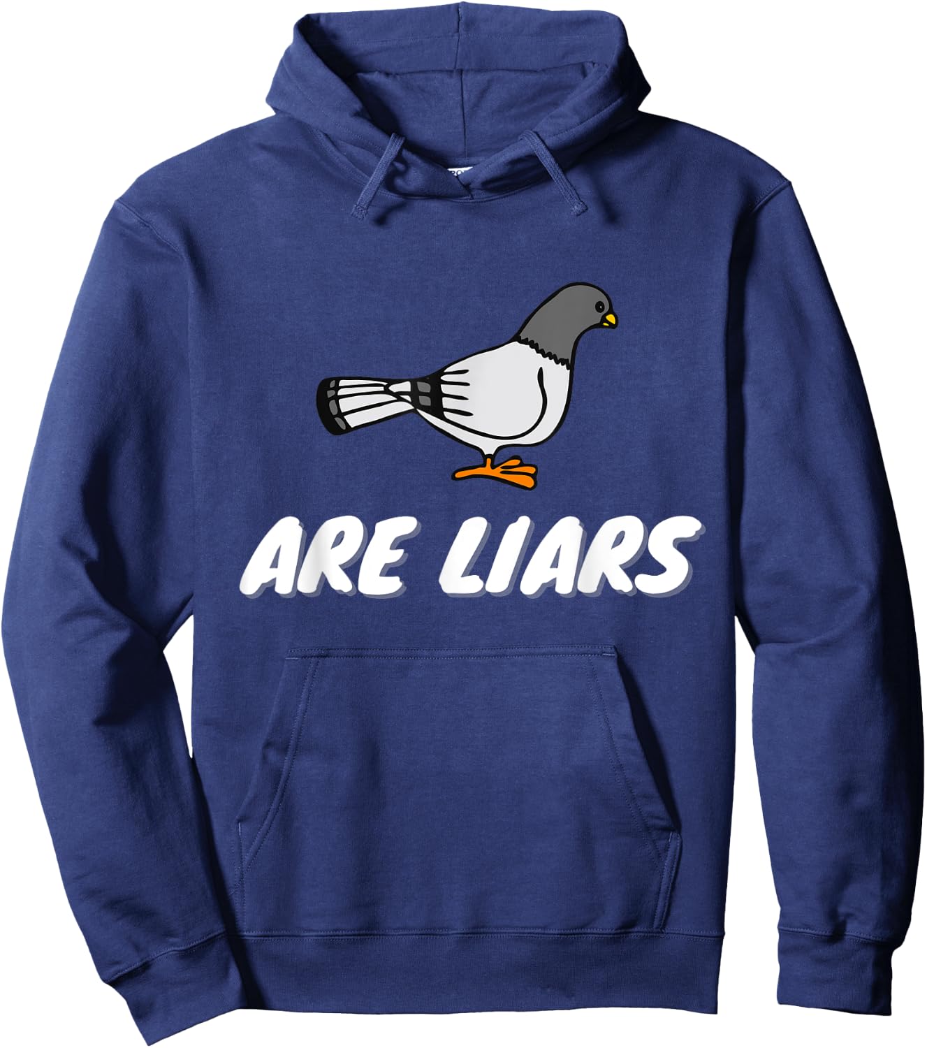 Pigeons Are Liars Bird Aren't Real Spies Gifts Men Women Hoodie - Hoodie | Navy