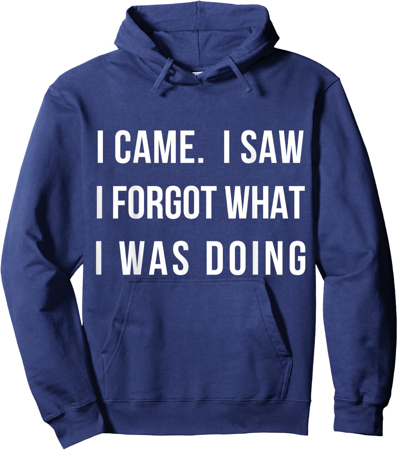 I Came I Saw I Forgot What I was Doing Sarcastic Small Hoodie - Hoodie | Navy