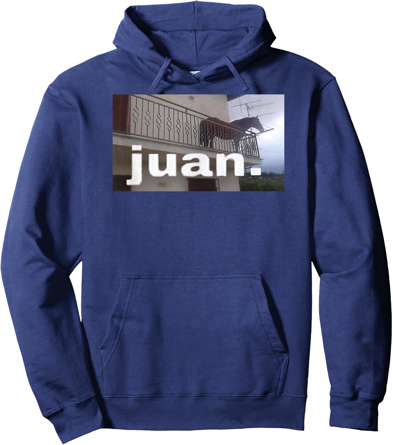 Juan Horse Meme on Balcony Hoodie - Hoodie | Navy
