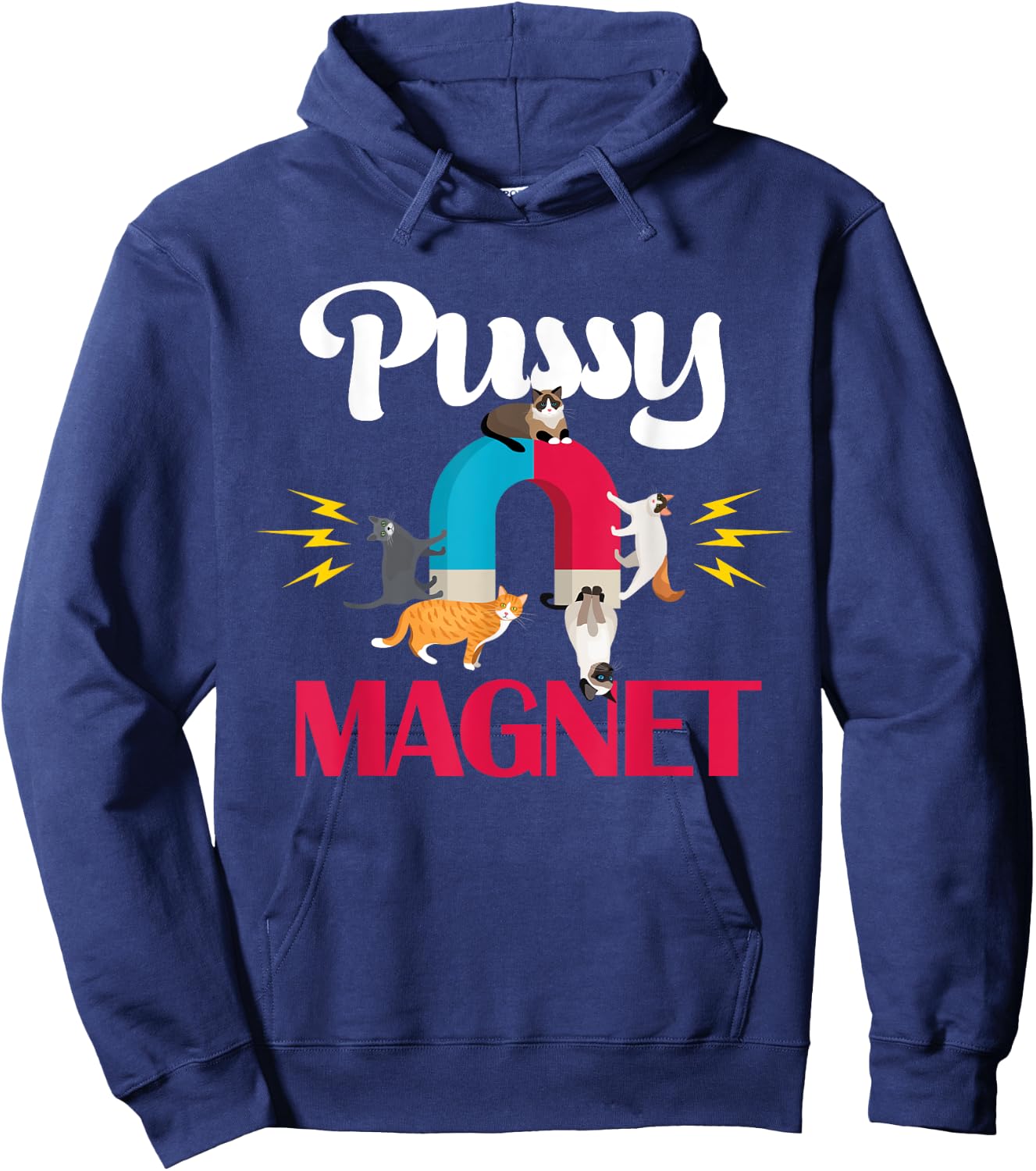 Cat Dad Pussy Magnet Adult Pun Funny Fur Dad Cat Lover Hoodie - Hoodie | Navy