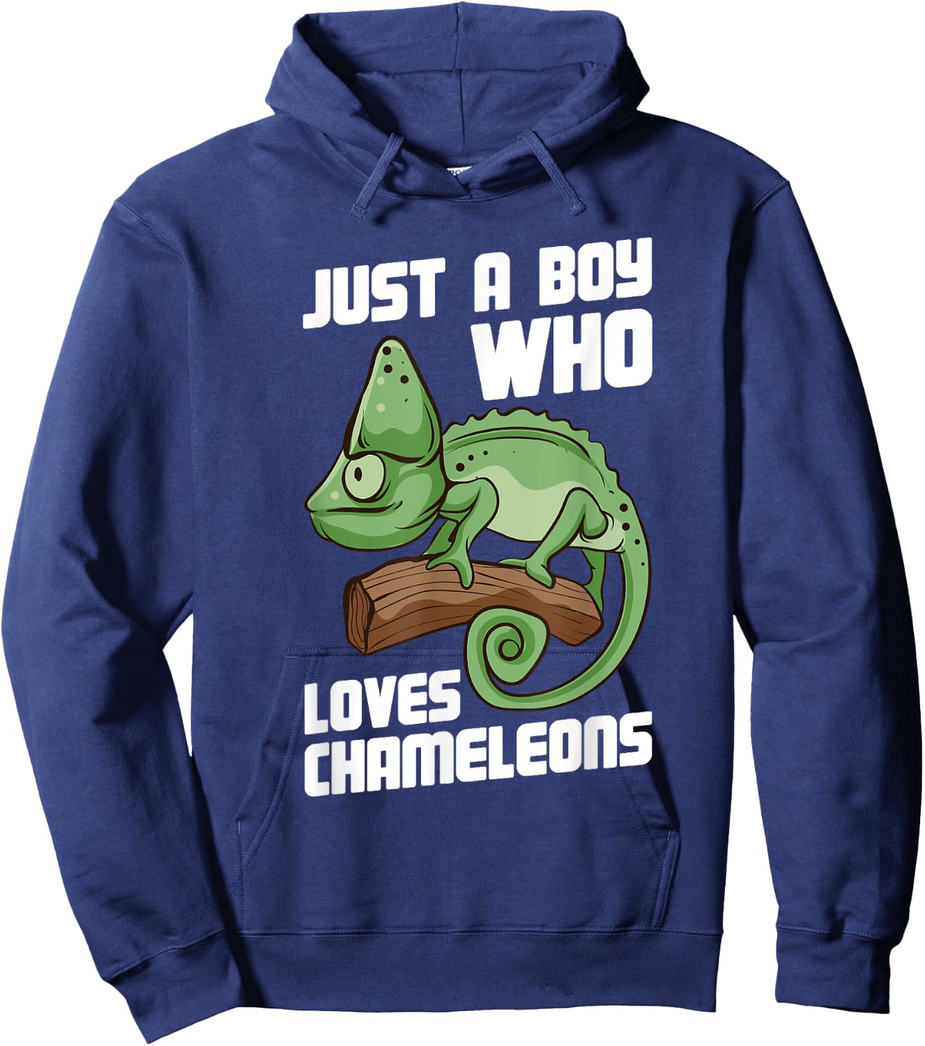 Just a Boy Who Loves Chameleons Cute Lizard Chameleon Hoodie - Hoodie | Navy