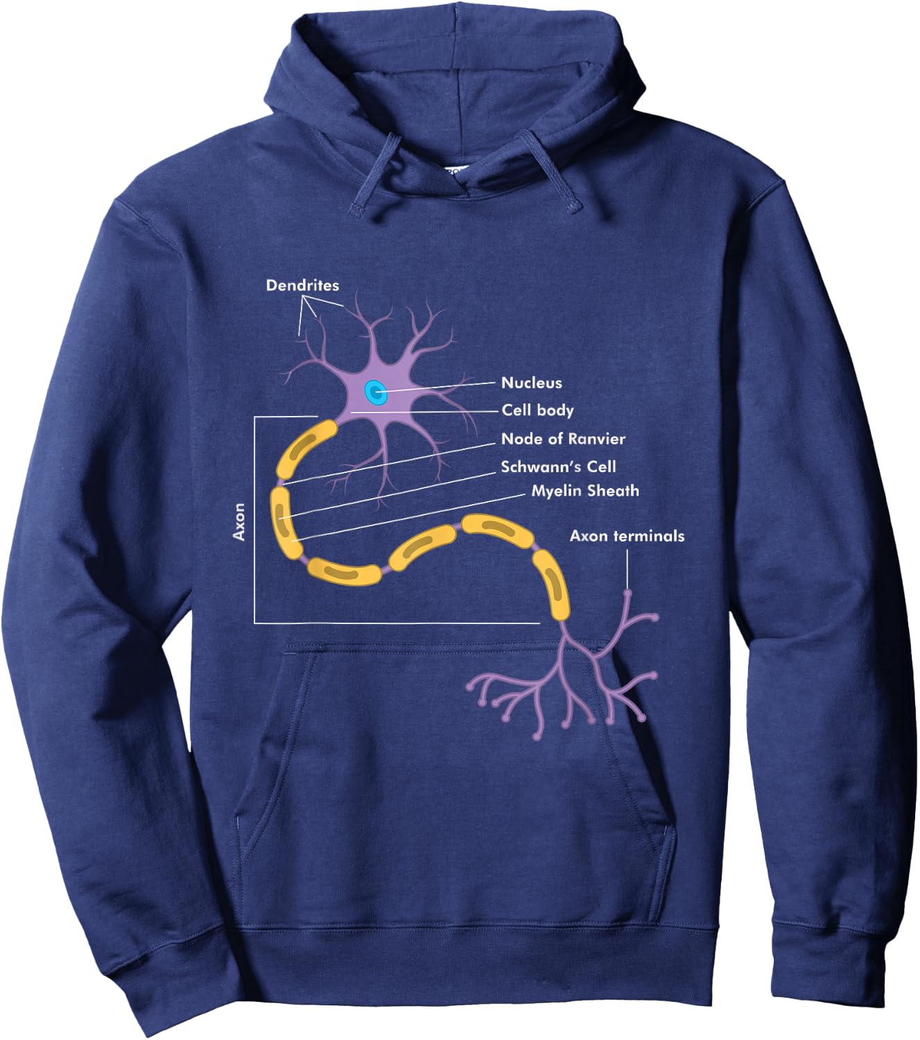 Anatomy of Neuron Neurologist Gift Hoodie - Hoodie | Navy