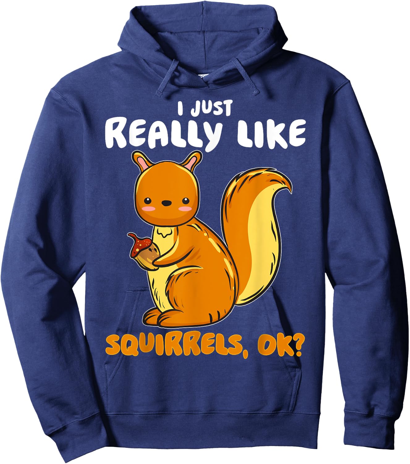 I Just Really Like Squirrels Ok Pet Owner Lover Rescue Hoodie - Hoodie | Navy