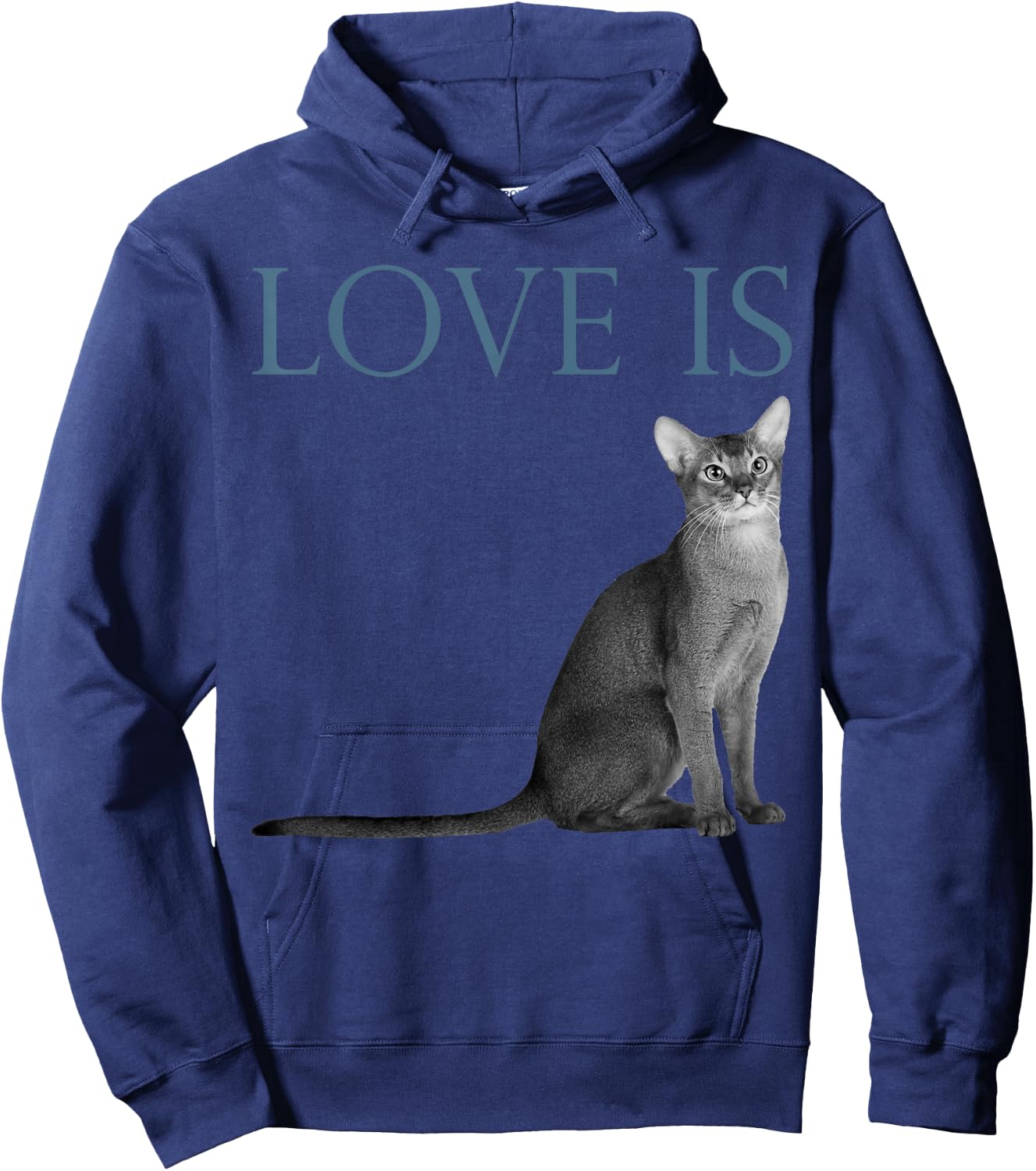 Love Is Abyssinian Cat Hoodie - Hoodie | Navy
