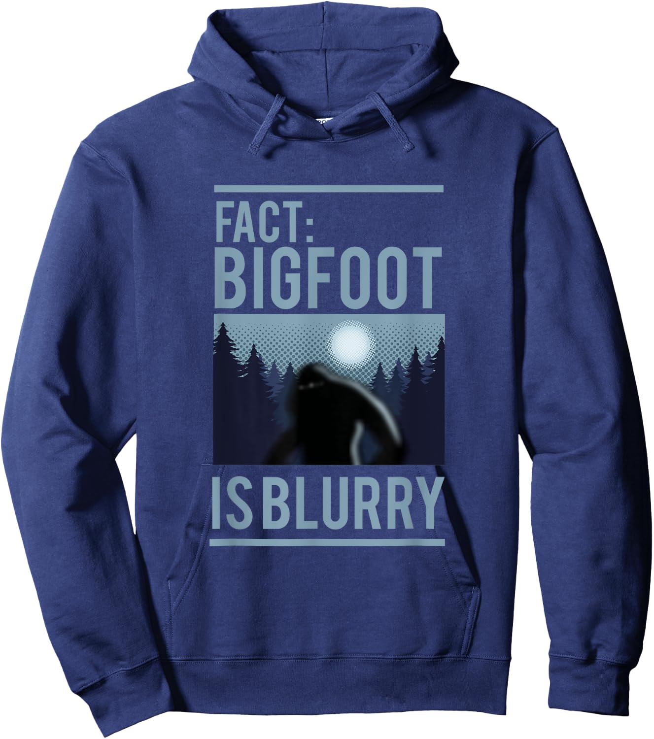 Fact Bigfoot Is Blurry Wilderness Ape Creature Gift Hoodie - Hoodie | Navy