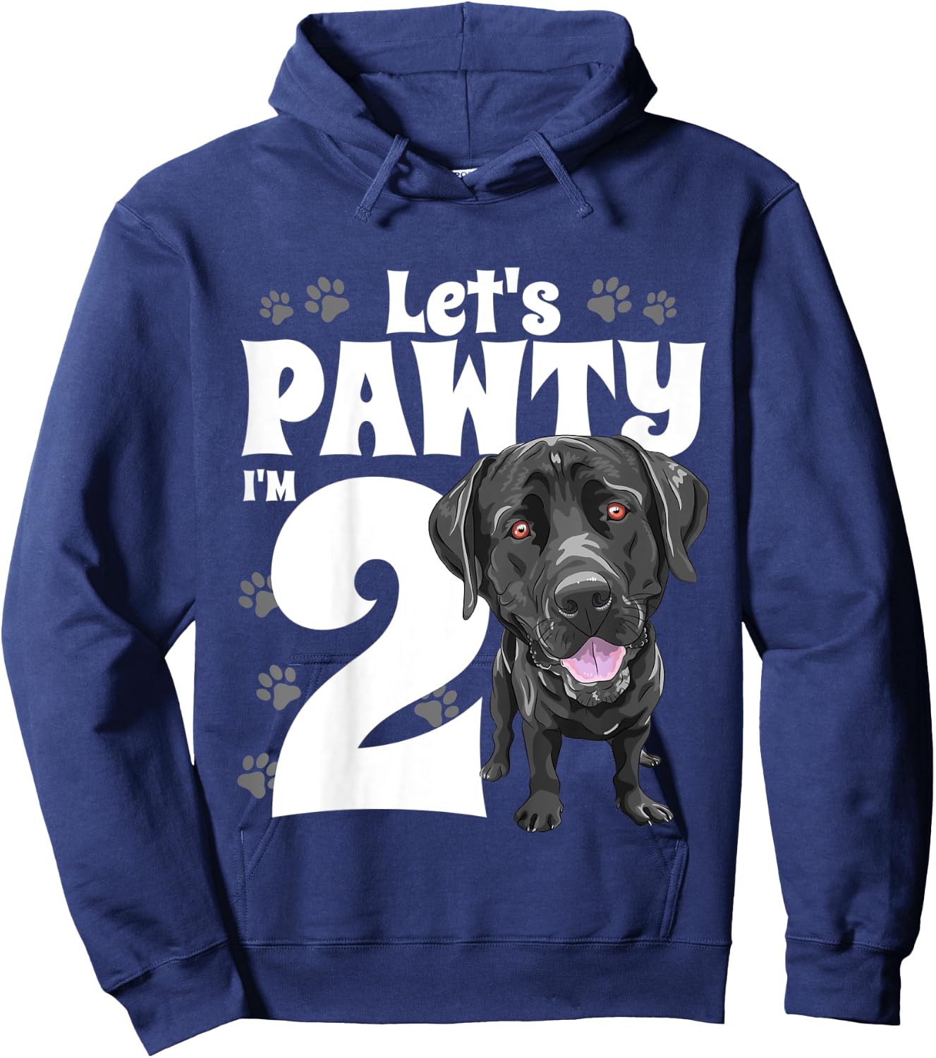 2 Year Old Black Lab Dog Birthday Pawty Labrador 2nd Gift Kids Hoodie - Hoodie | Navy