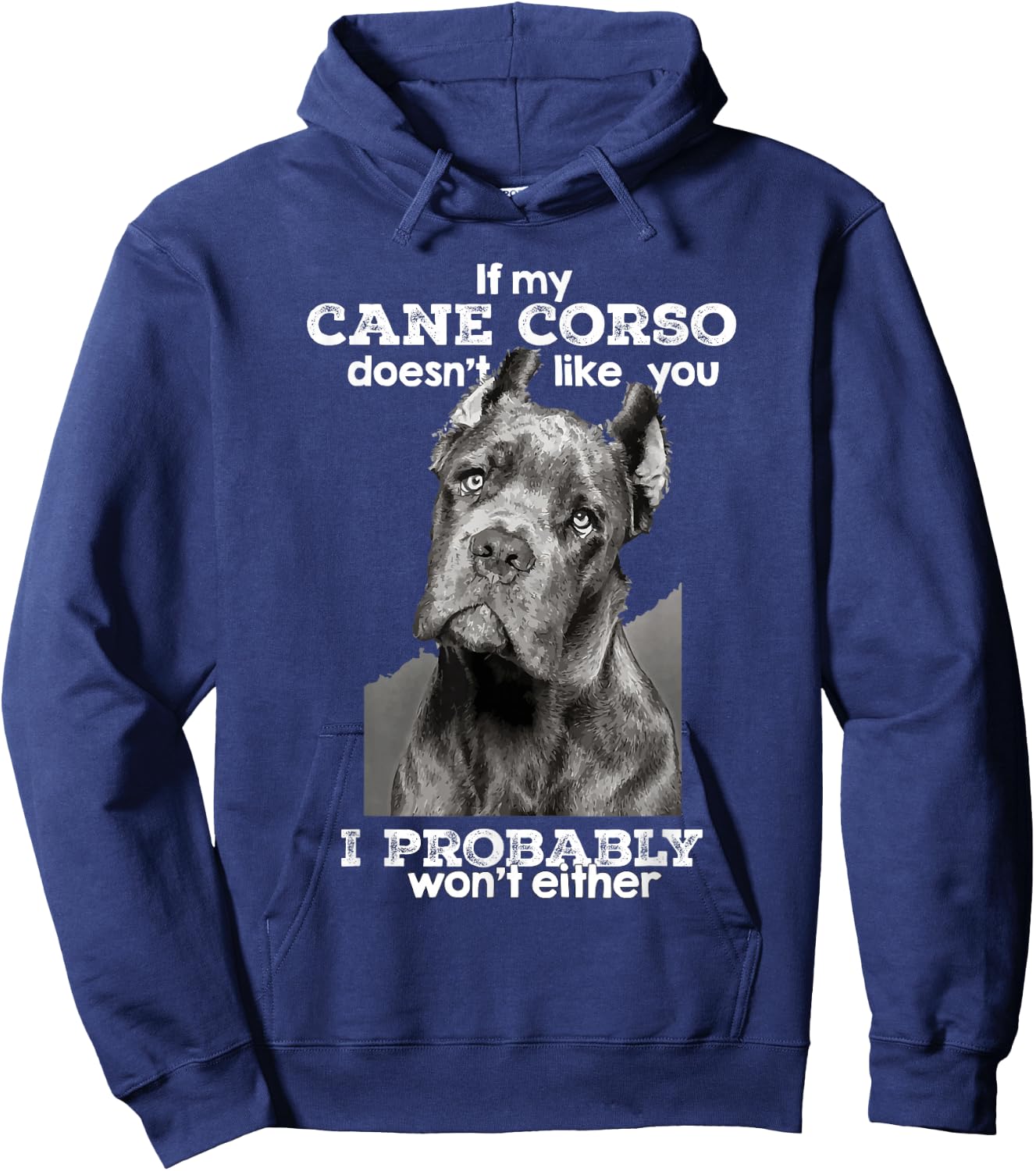 If My Cane Corso Doesn't Like You I Probably Won't Either Hoodie - Hoodie | Navy