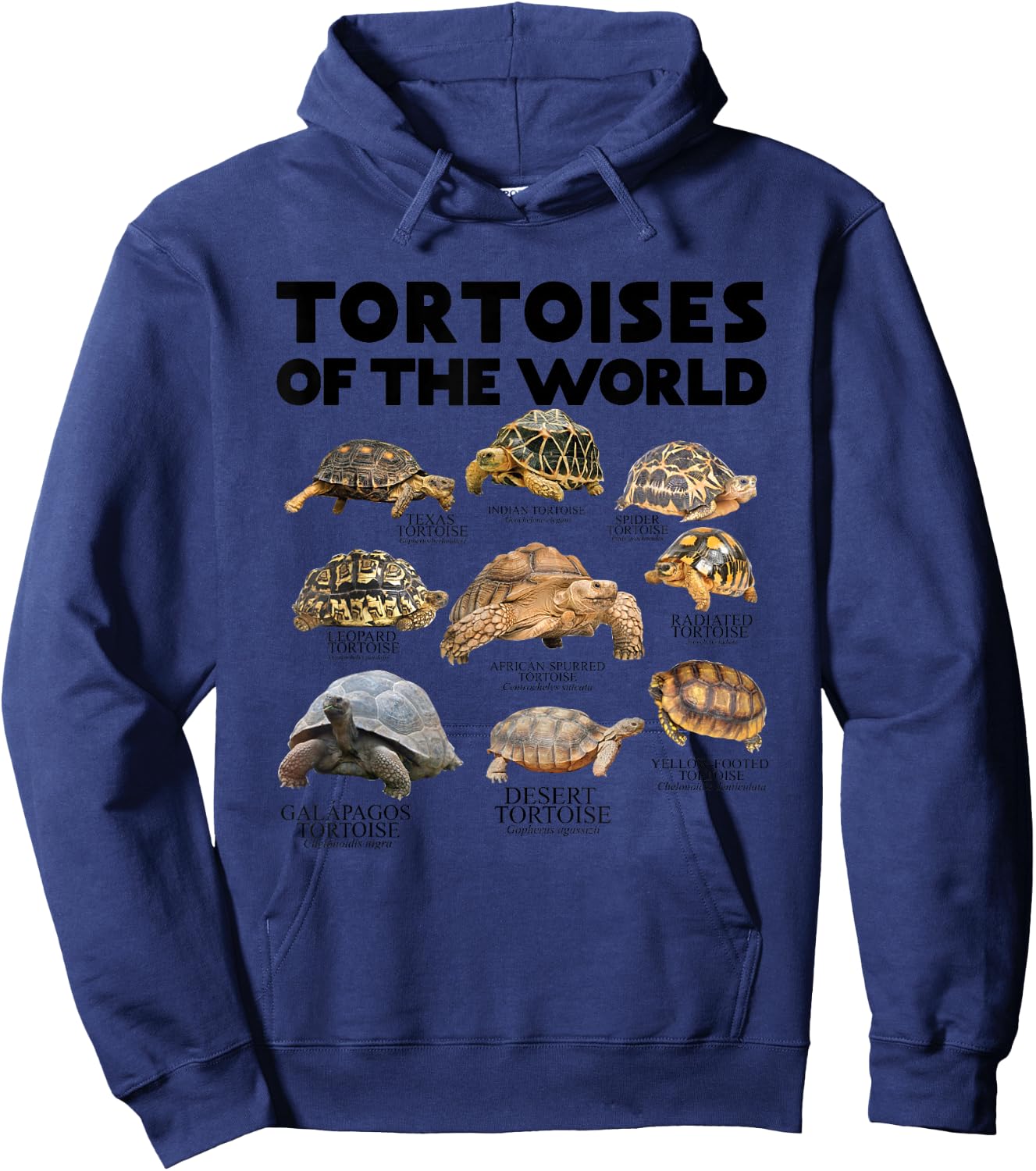 Tortoises of The World Turtles Lover Save The Tortoises Hoodie - Hoodie | Navy